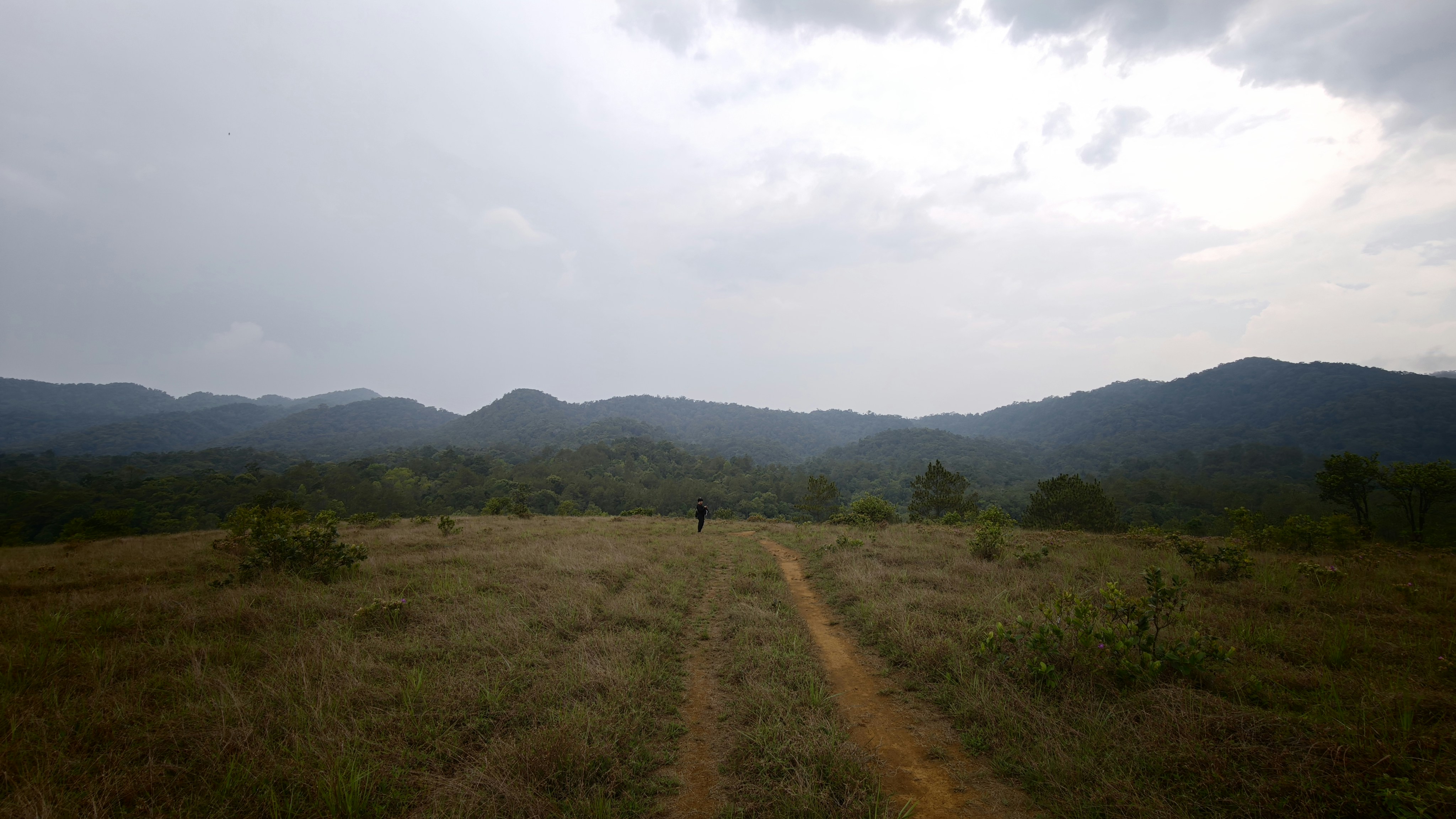 A person walking along a dirt path through a grassy field toward distant mountains