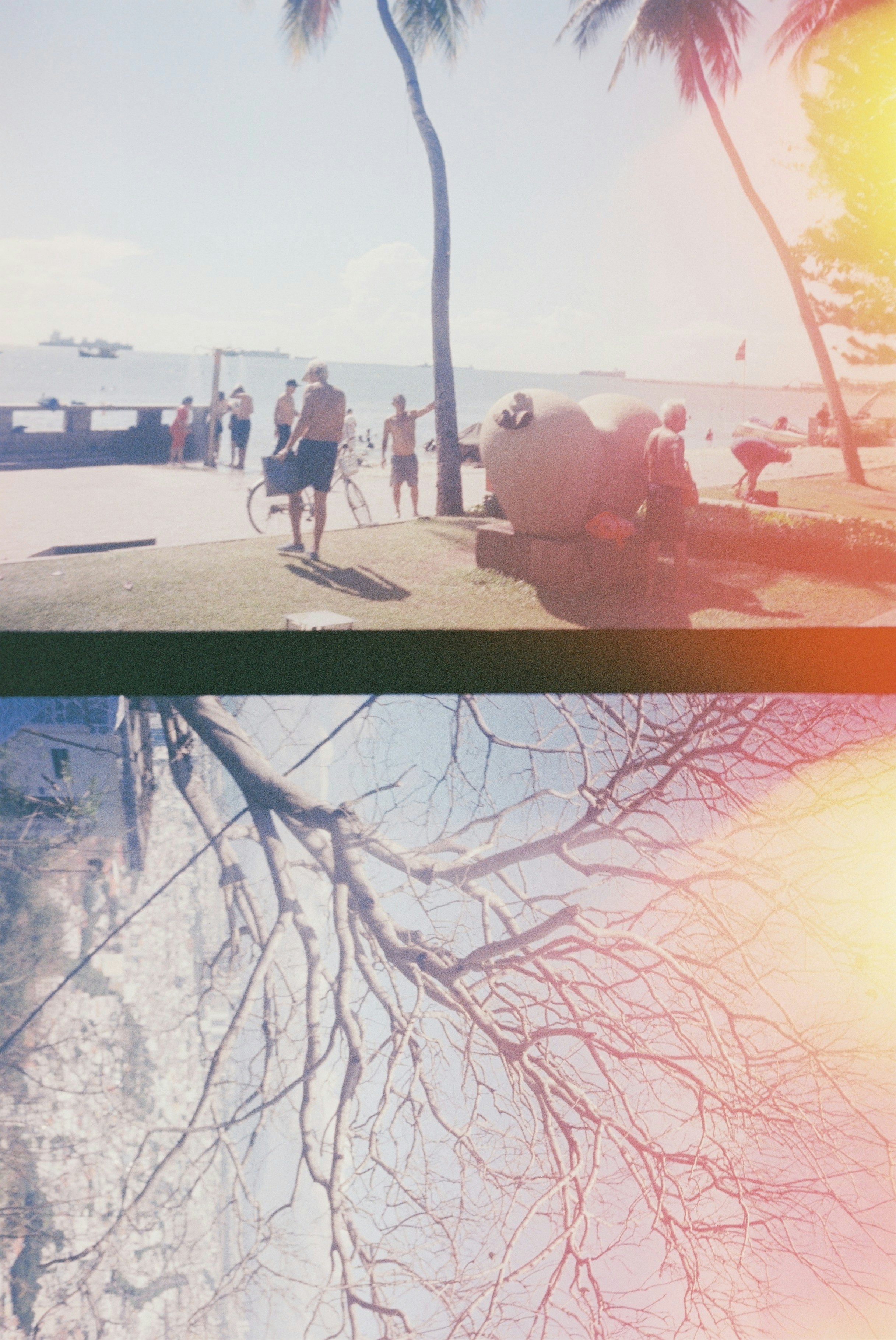 A double exposure of people on a sunny beach and bare tree branches