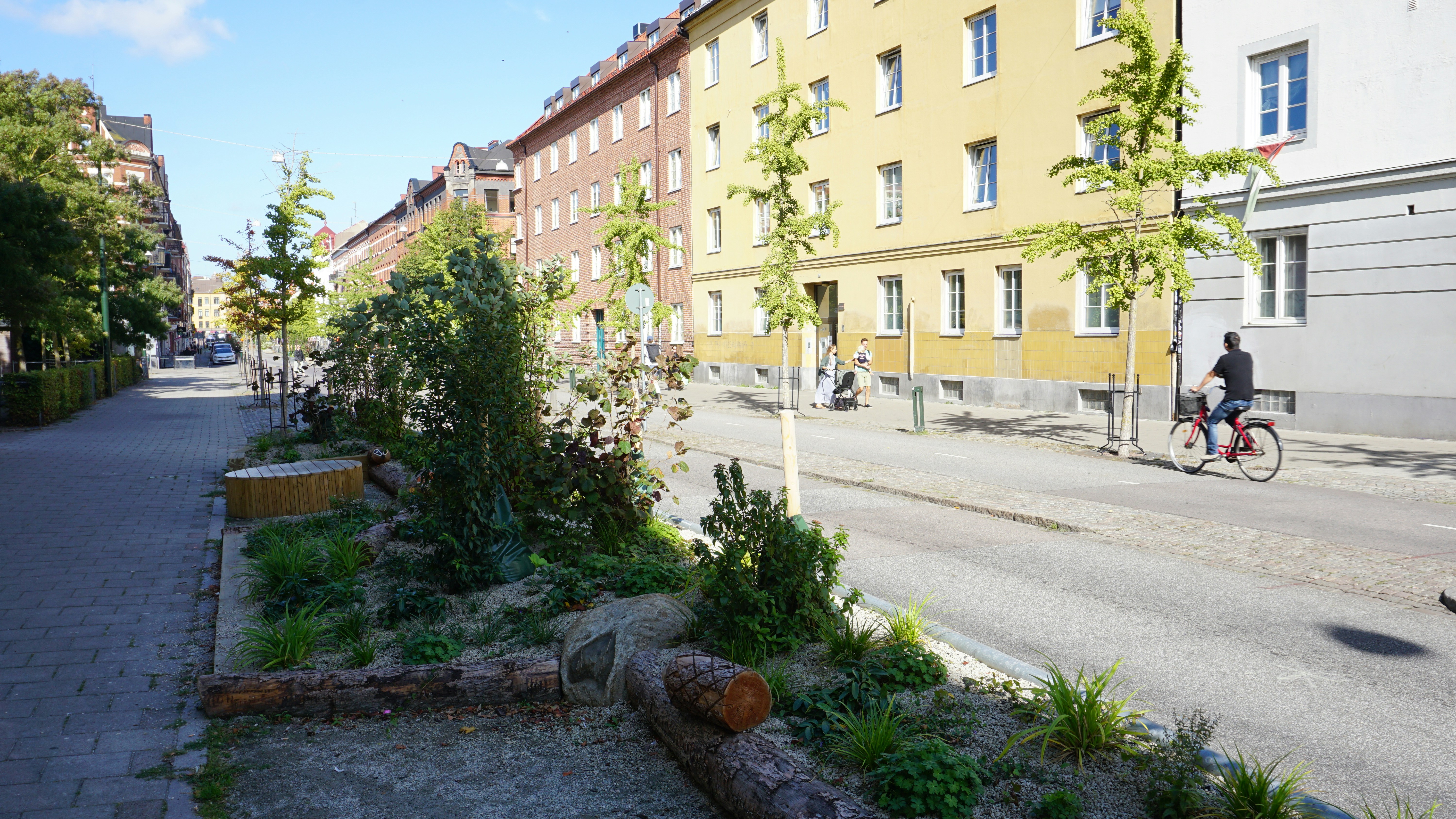 Person cycling along a street with garden beds