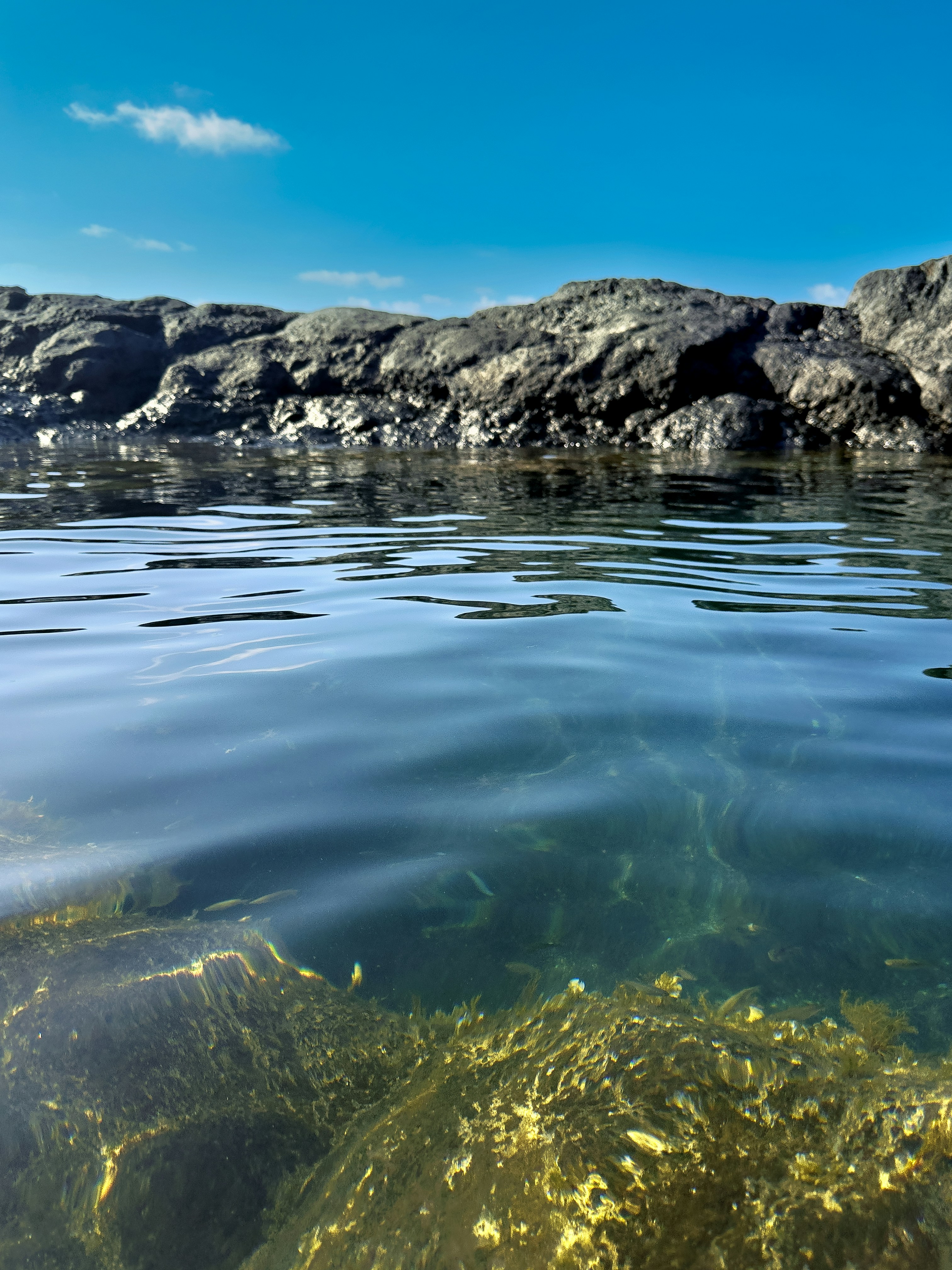 Eau claire sur des rochers submergés avec un rivage sombre et rocheux sous un ciel bleu