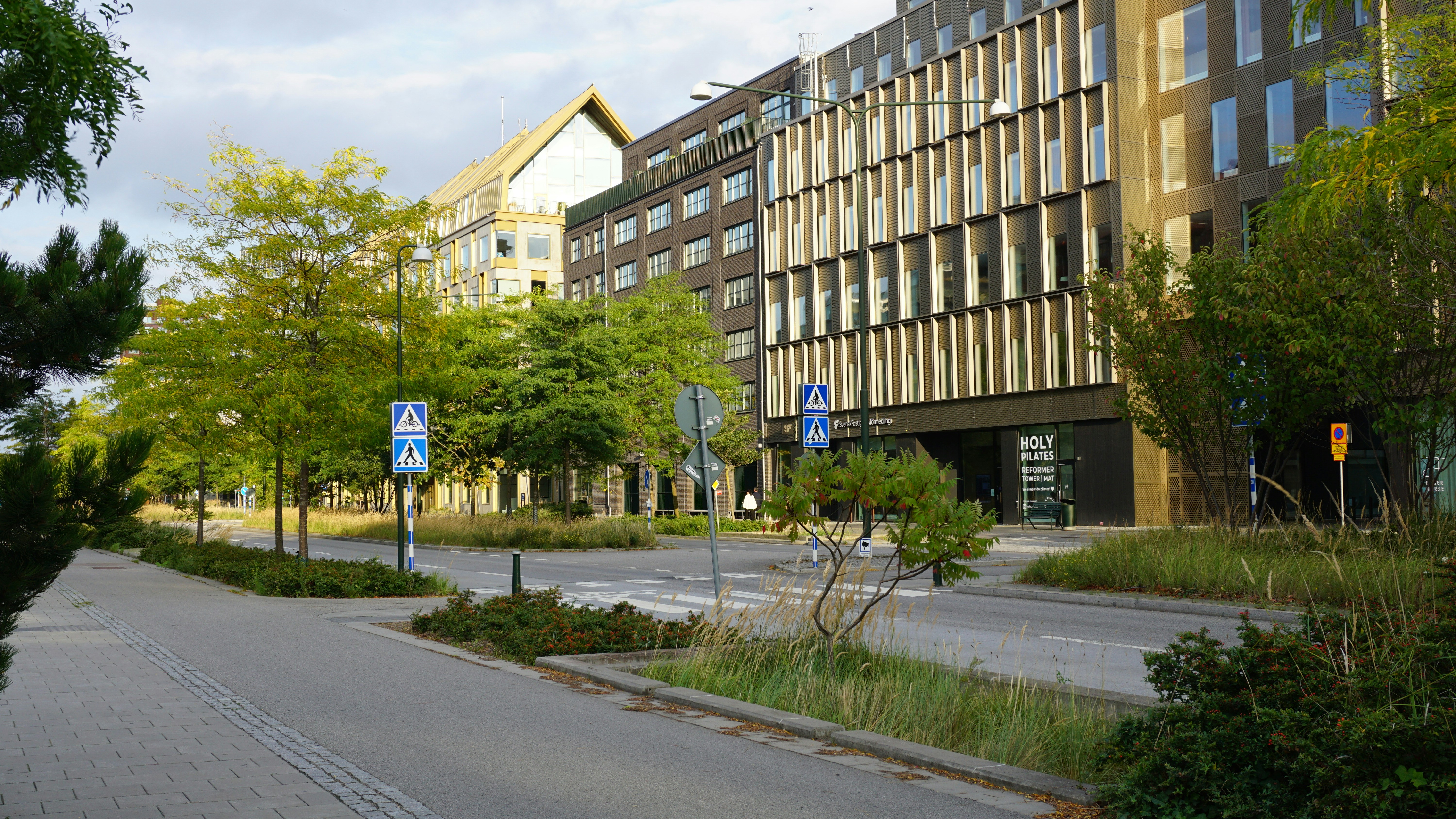 A paved street with trees and modern office buildings under a bright sky