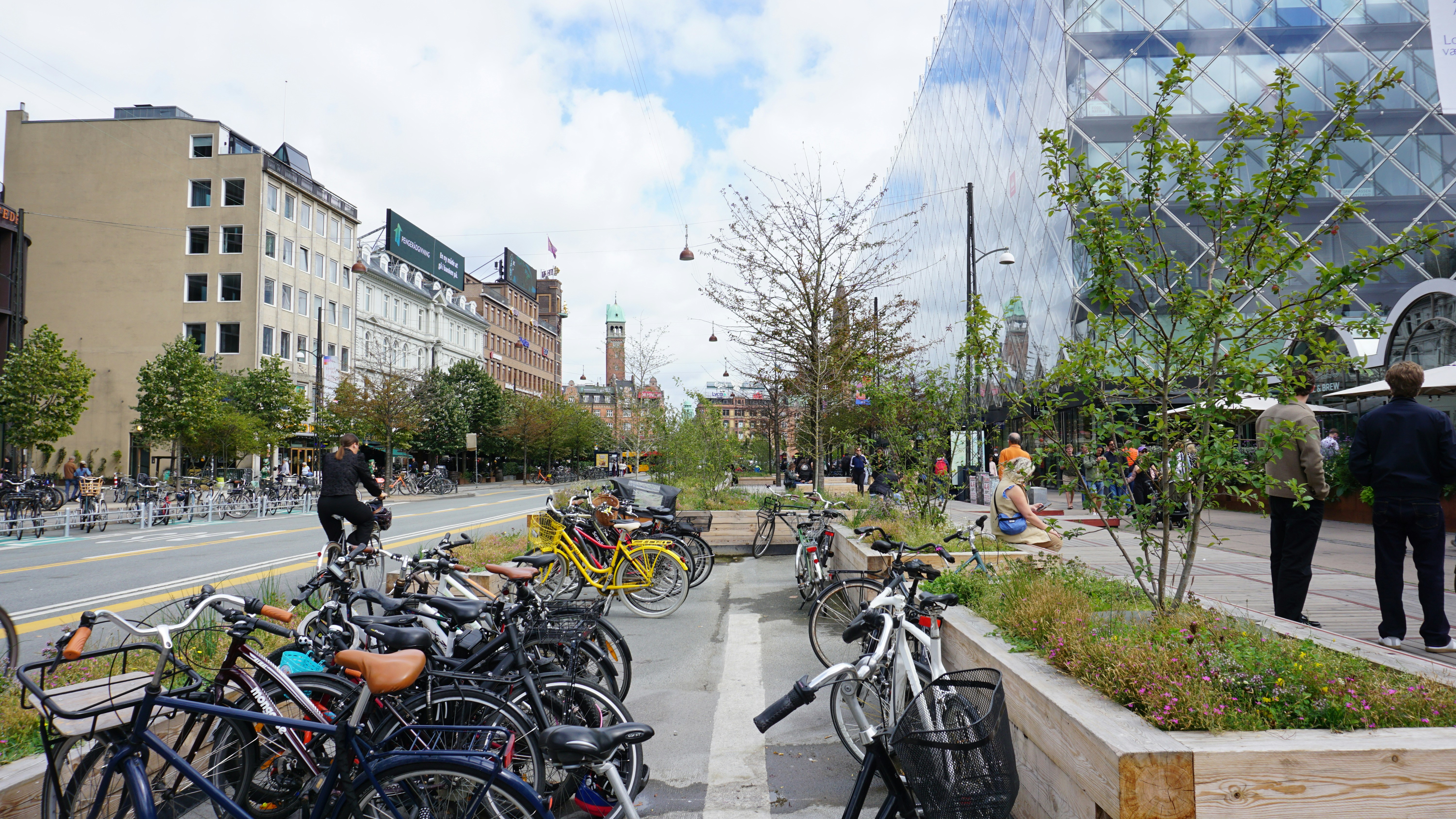 Bicycles parked along a city street with modern glass architecture and trees