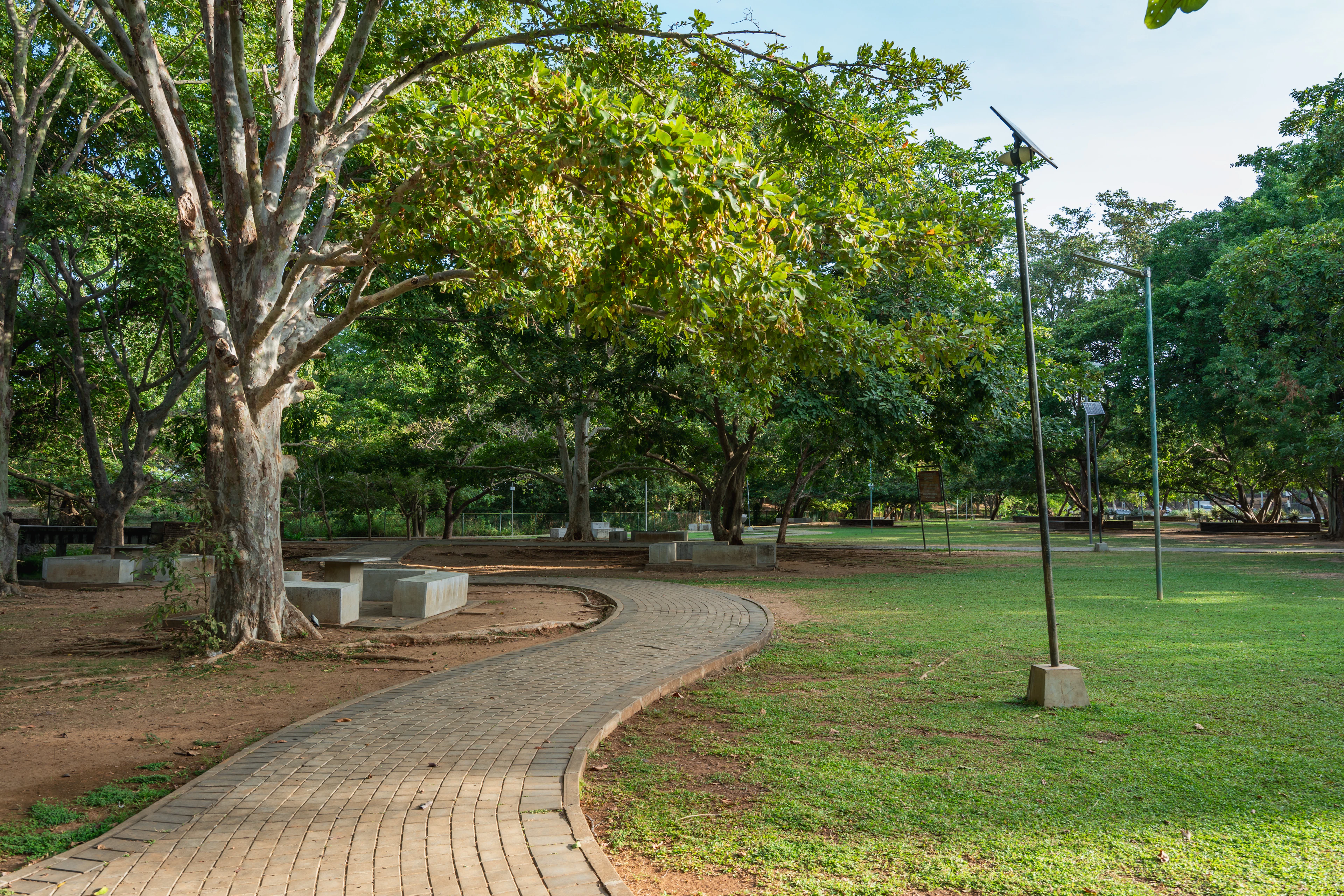 Curved path winding through a lush green park