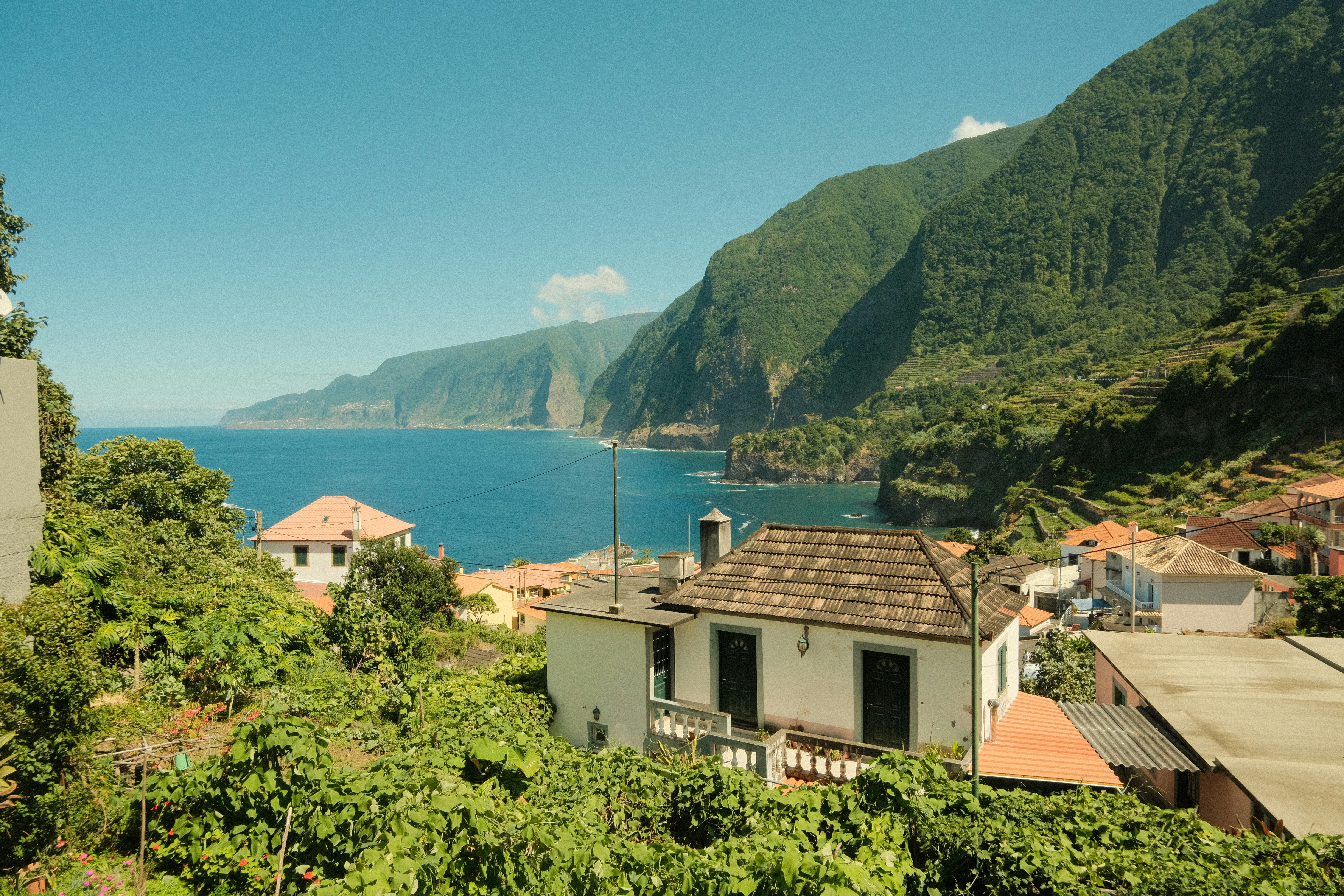 Houses on green hillside overlooking ocean - Free Photo on Unsplash