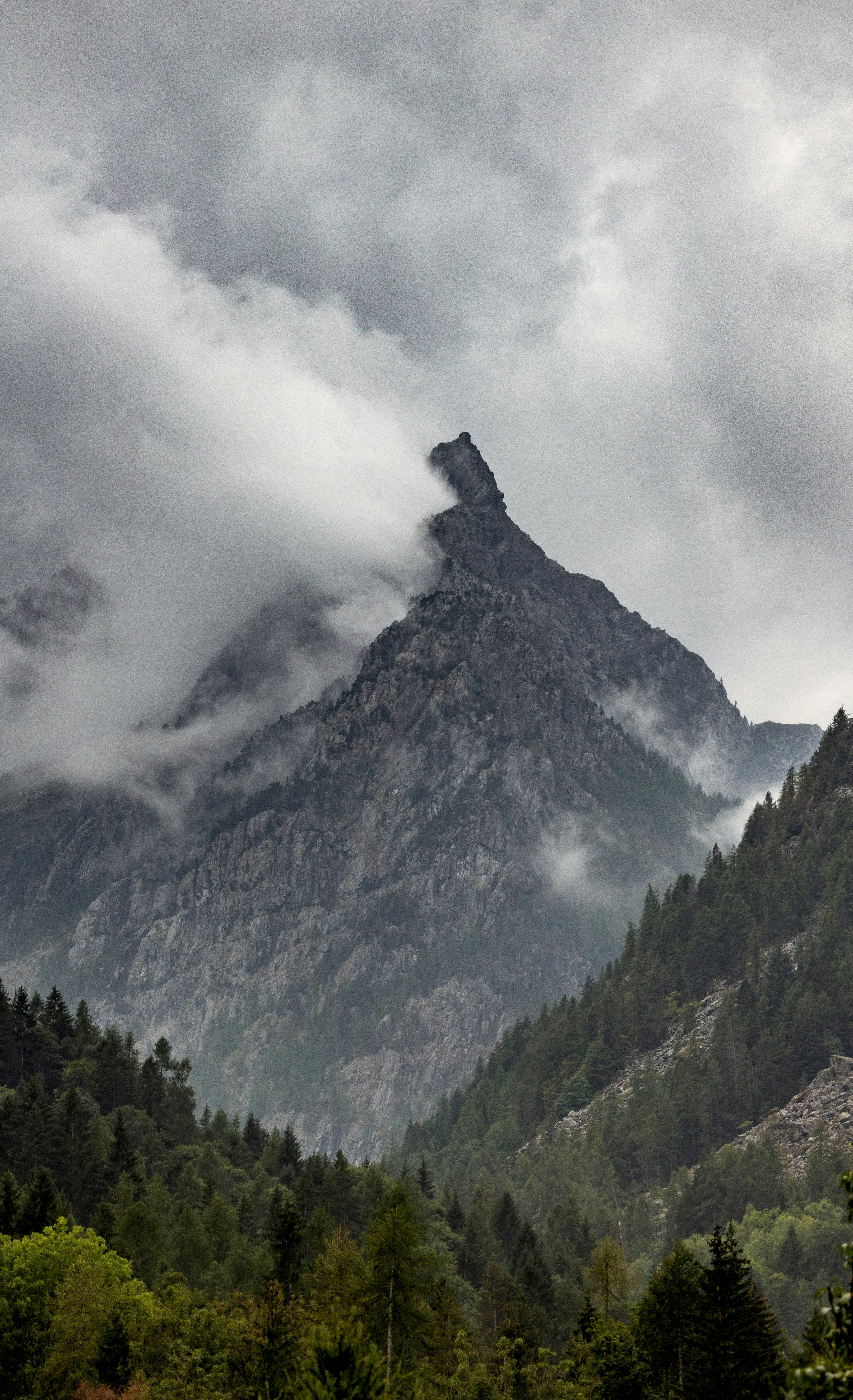 A jagged mountain peak shrouded in thick grey clouds above a pine forest