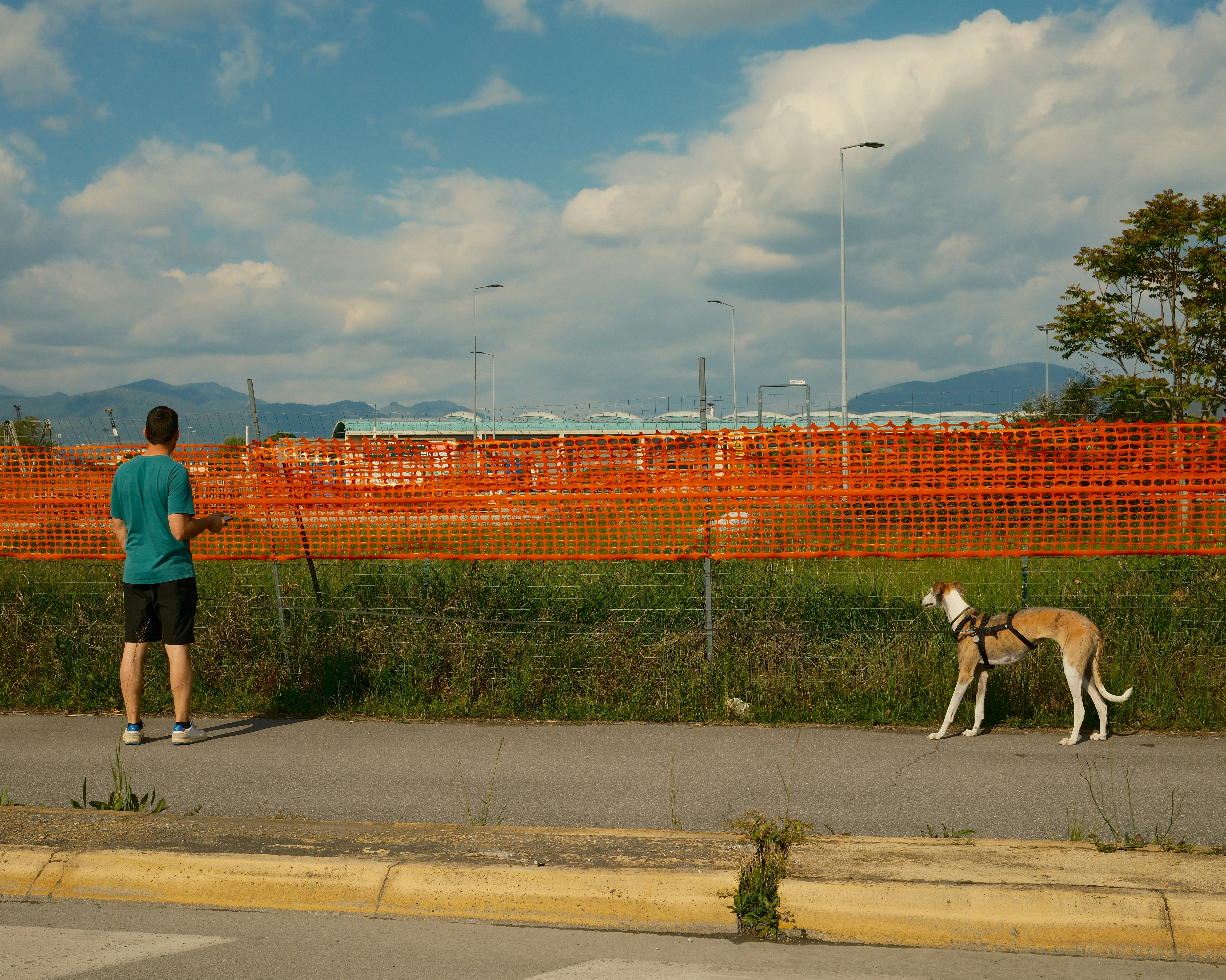 Man and a greyhound by a roadside fence