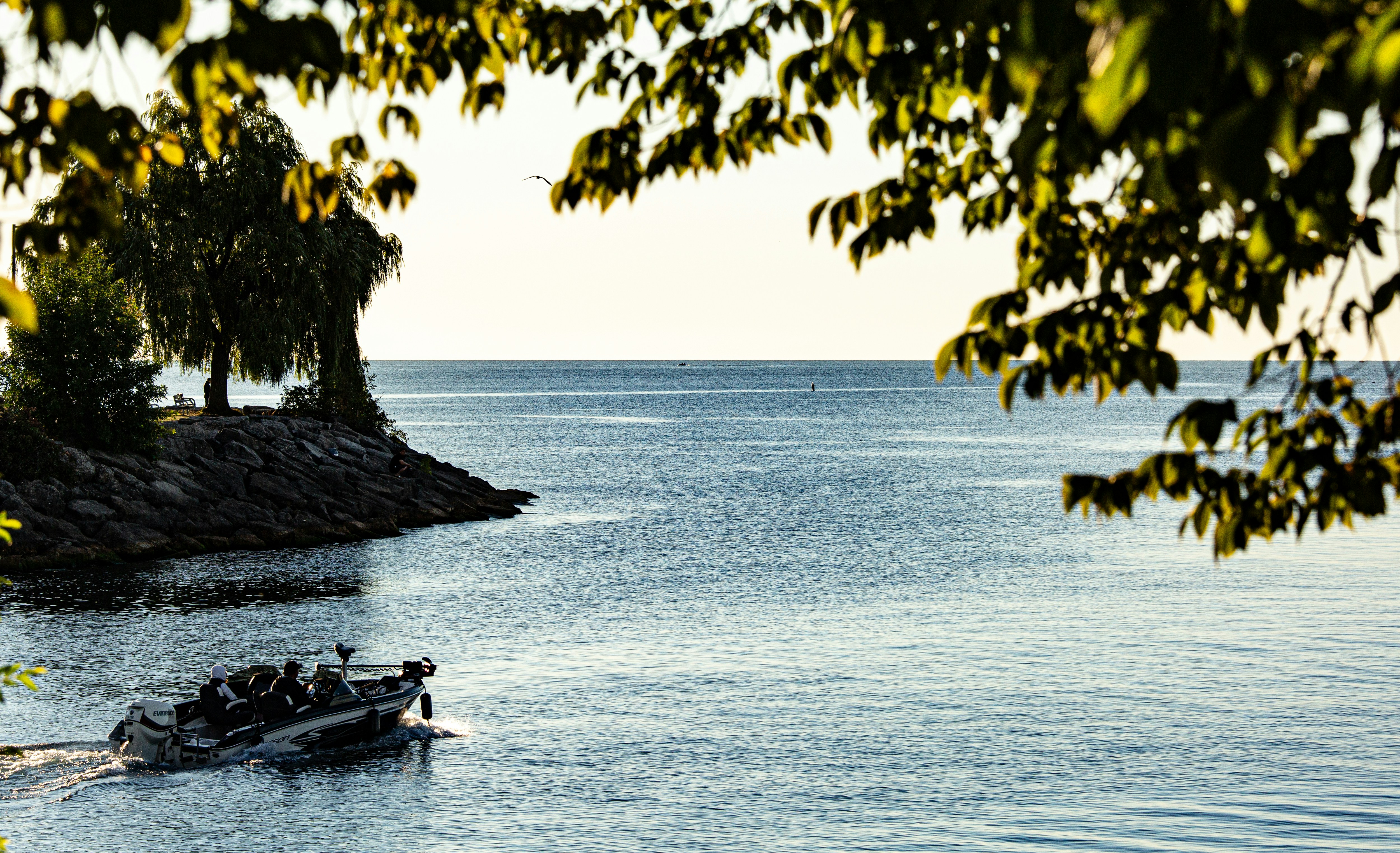 A motorboat moving across calm blue water near a rocky shoreline with trees