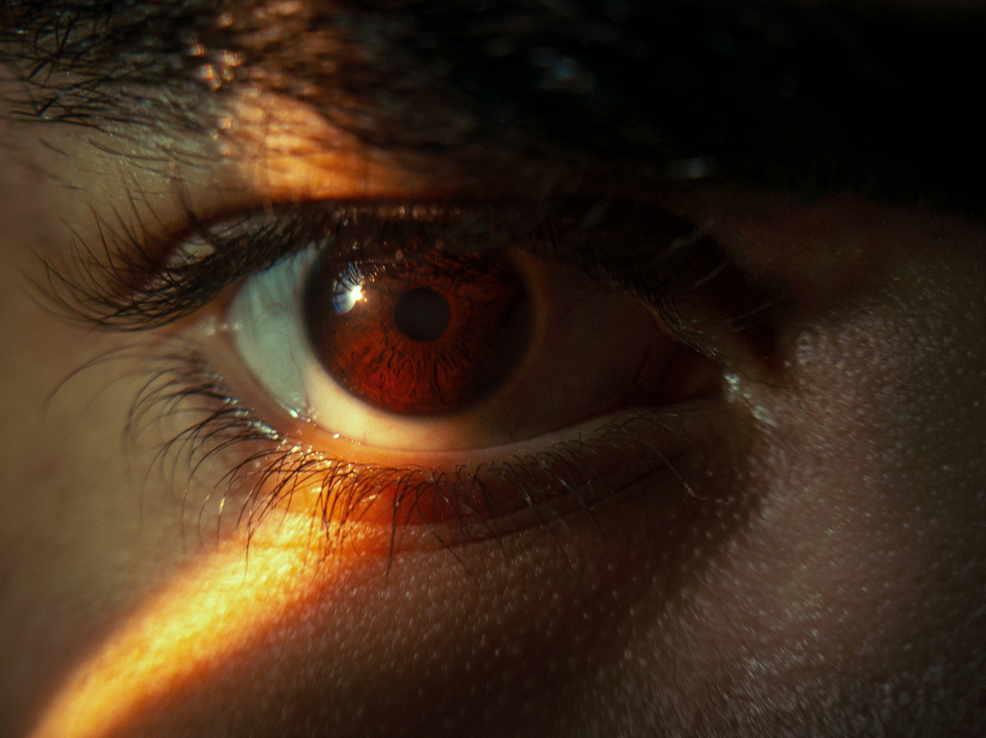 A close-up of a brown human eye illuminated by warm golden light