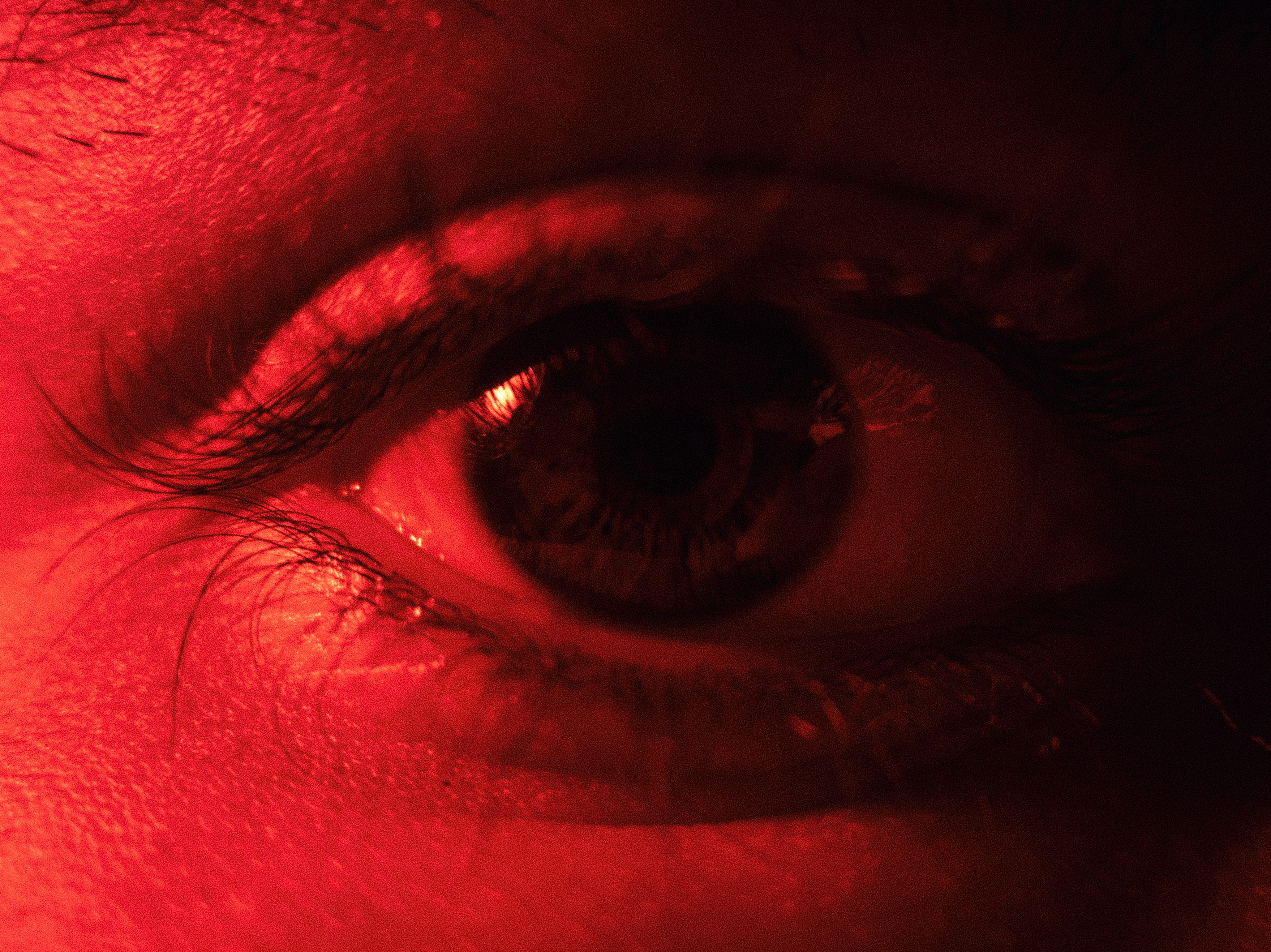 red eye closeup, wallpaper, Cara Menghilangkan Mata Merah dengan Cepat: 6 Tips Efektif 5