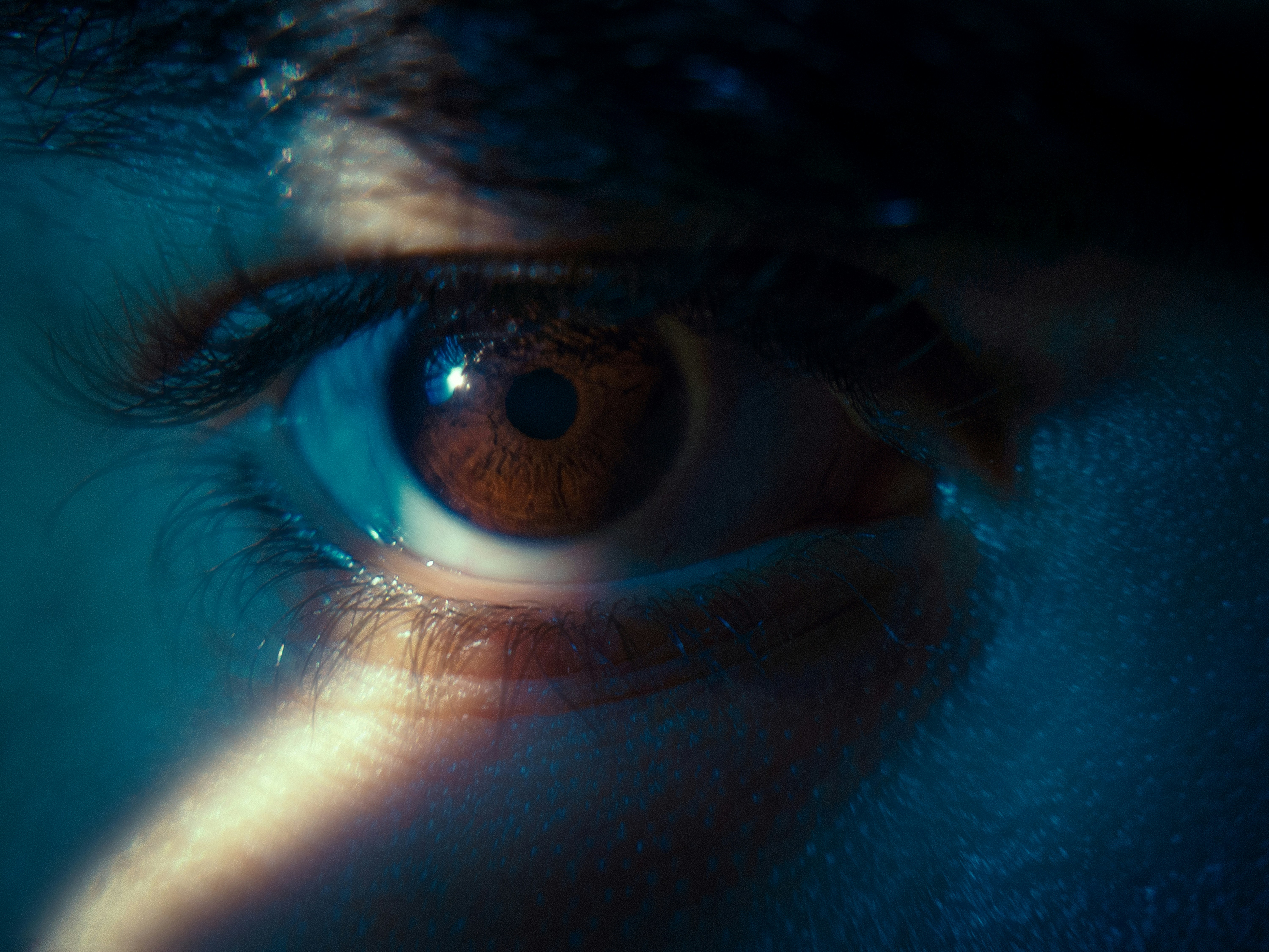 A close-up of a brown human eye illuminated by blue and warm light