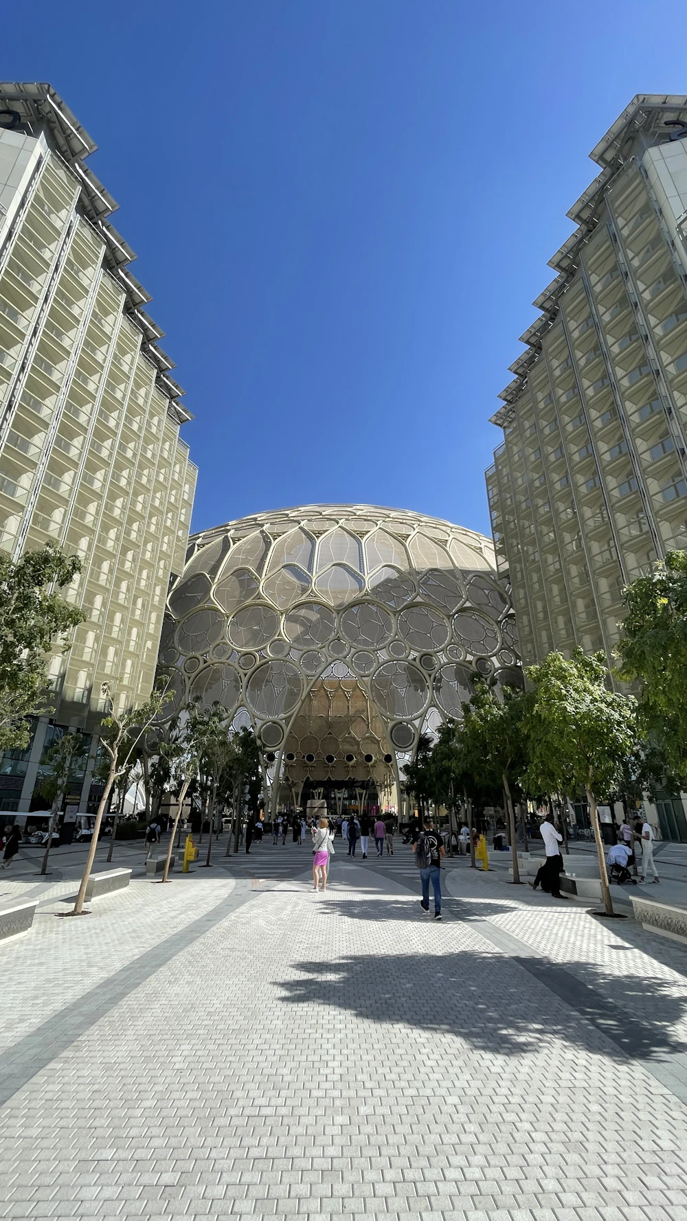 The Wave Pavilion