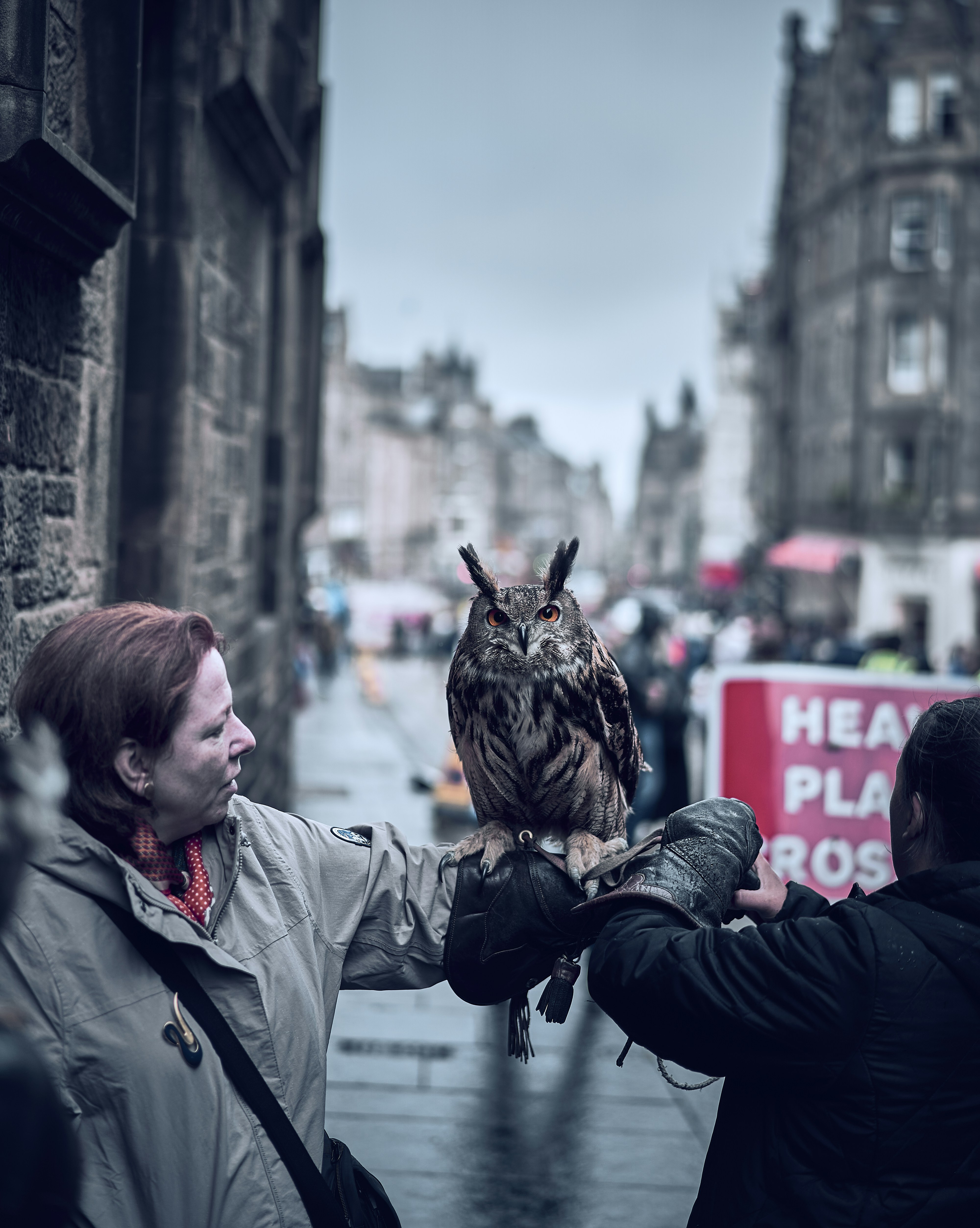 An owl encounter on Edinburgh's Royal Mile in Scotland.