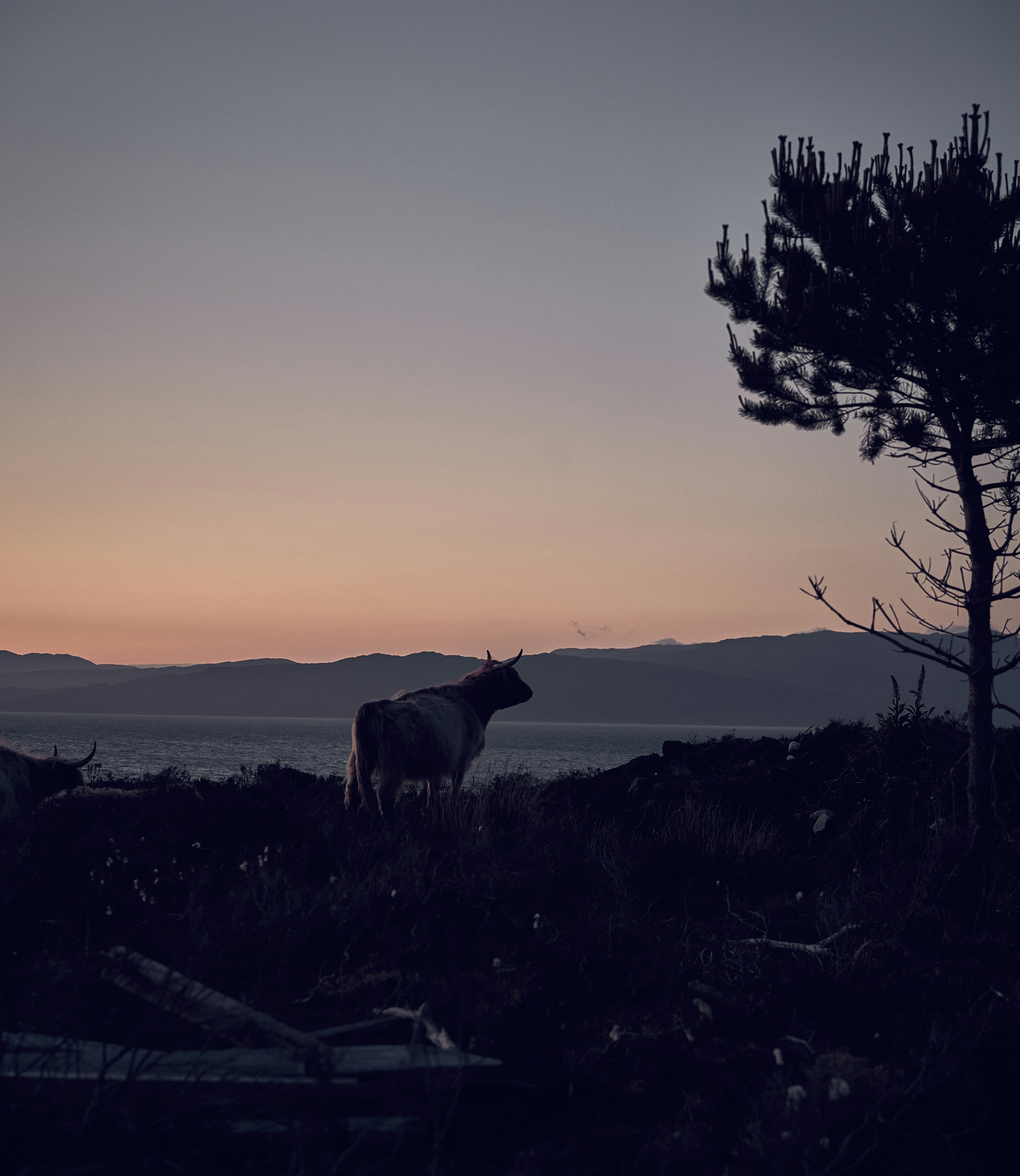 Evening light over the sea and hills of the Isle of Skye, Scotland.