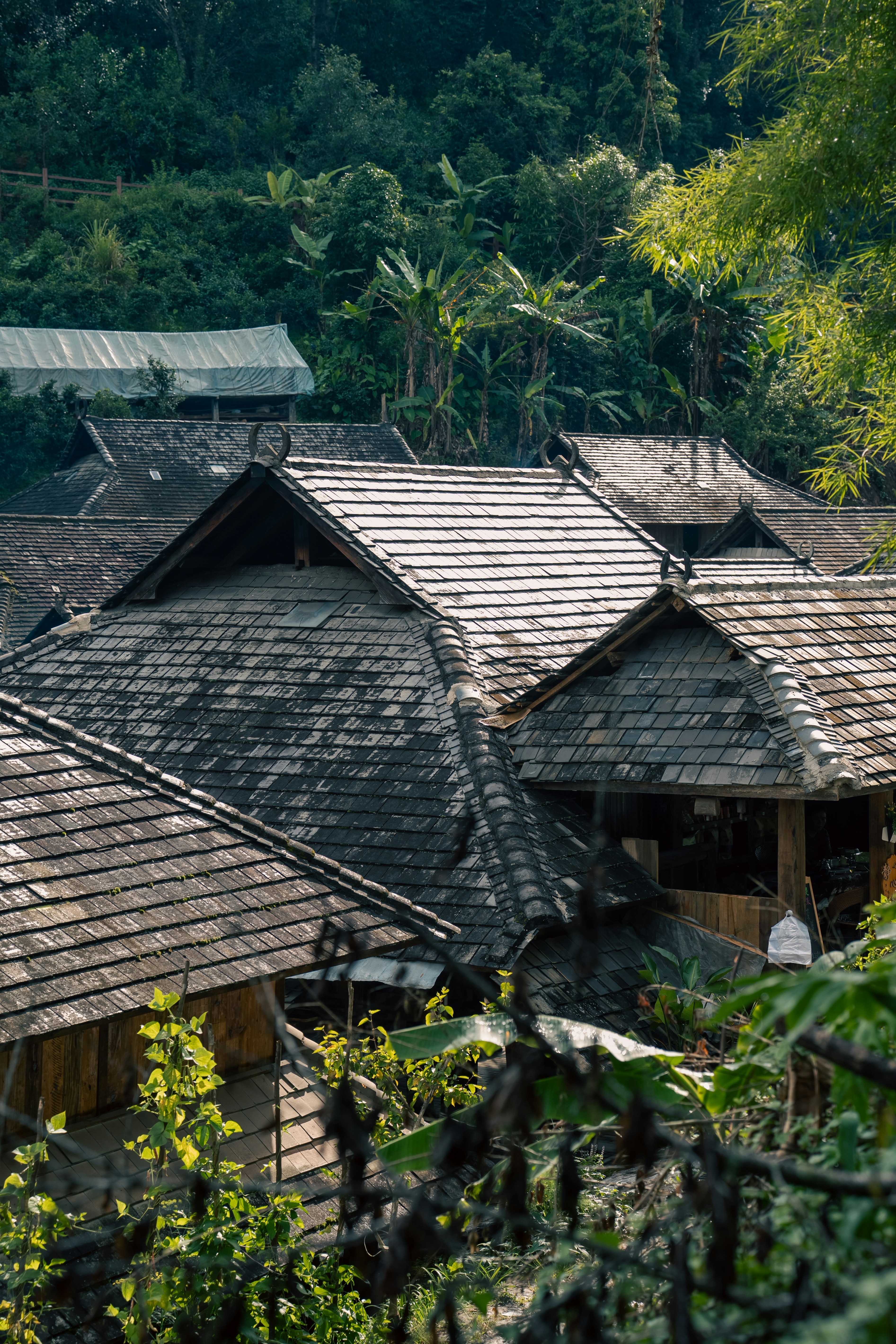 Traditional wooden houses with dark tiled roofs nestled in a lush green forest