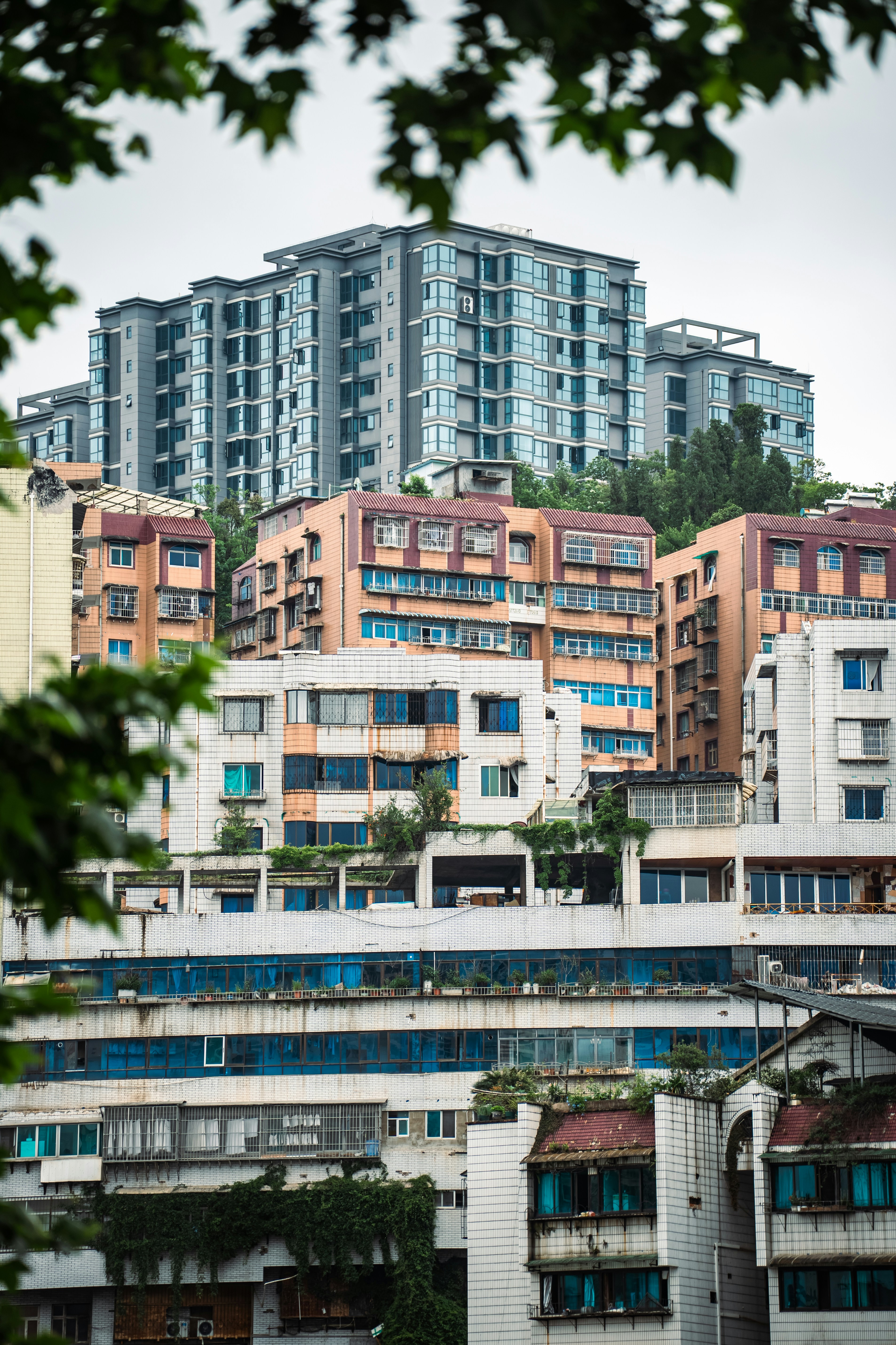 Dense residential apartment buildings stacked on a hillside with green foliage in the foreground