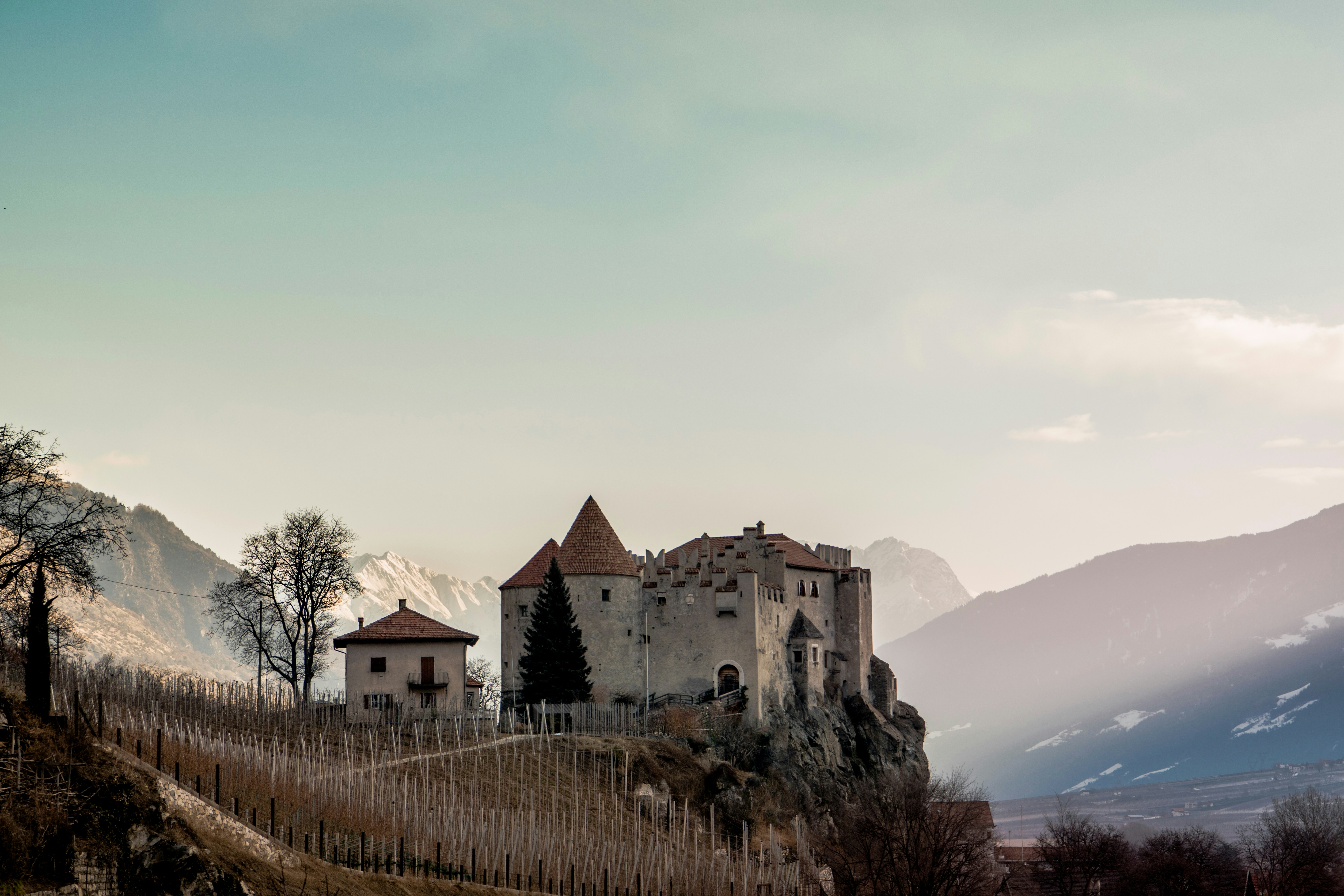 Eine steinerne Burg auf einer felsigen Klippe über einem Weinberg mit verschneiten Bergen