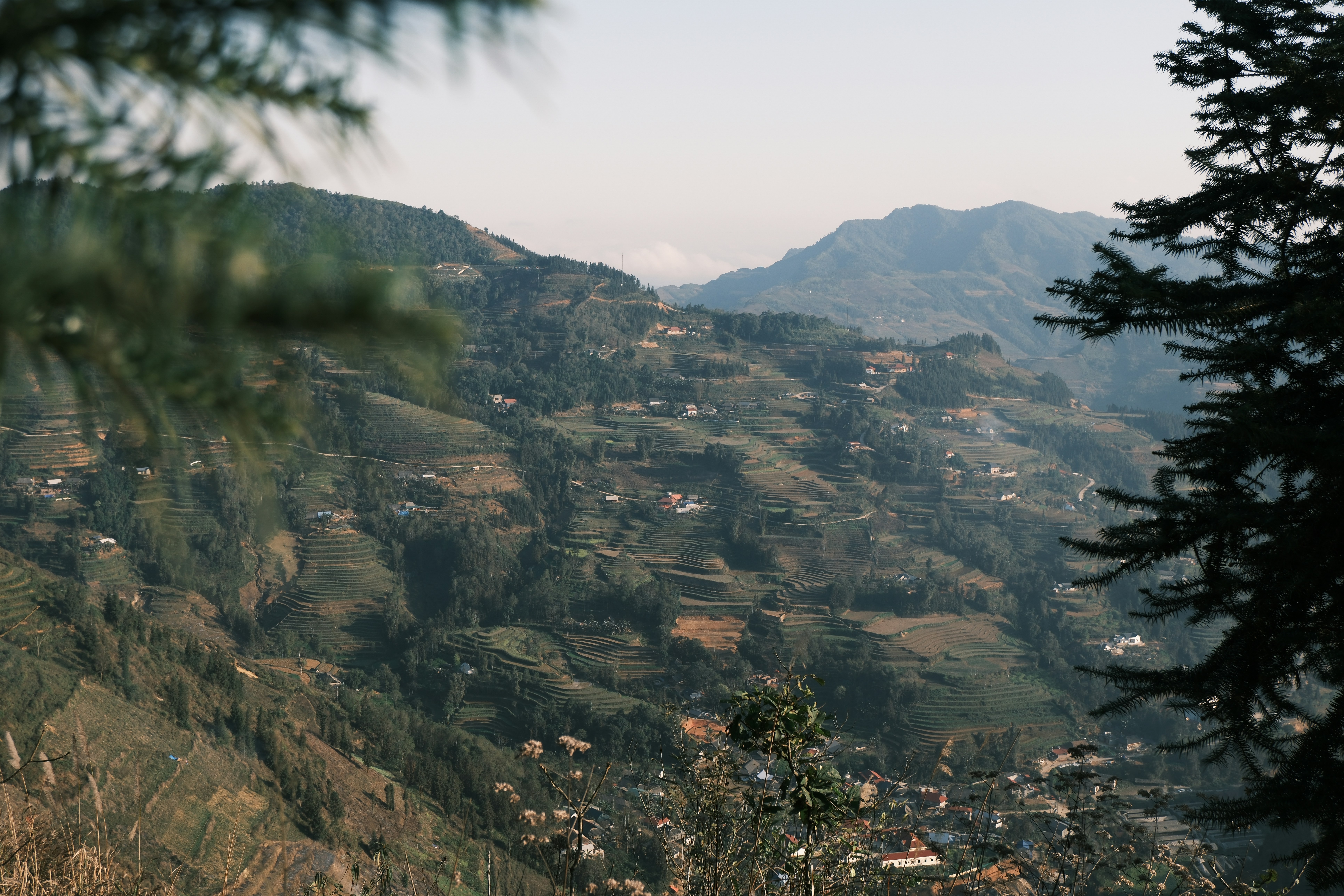 Terraced rice fields on mountain slope - Free Photo on Unsplash