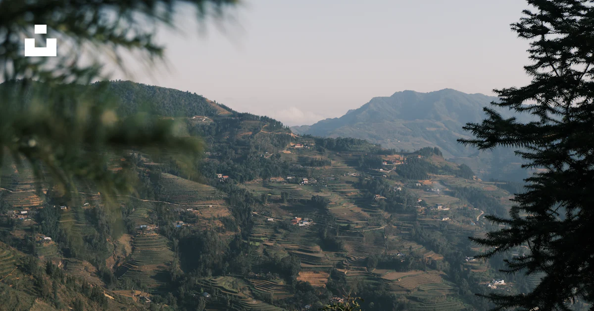 Sloping Icon Terraced rice fields on mountain slope - Free Photo on Unsplash