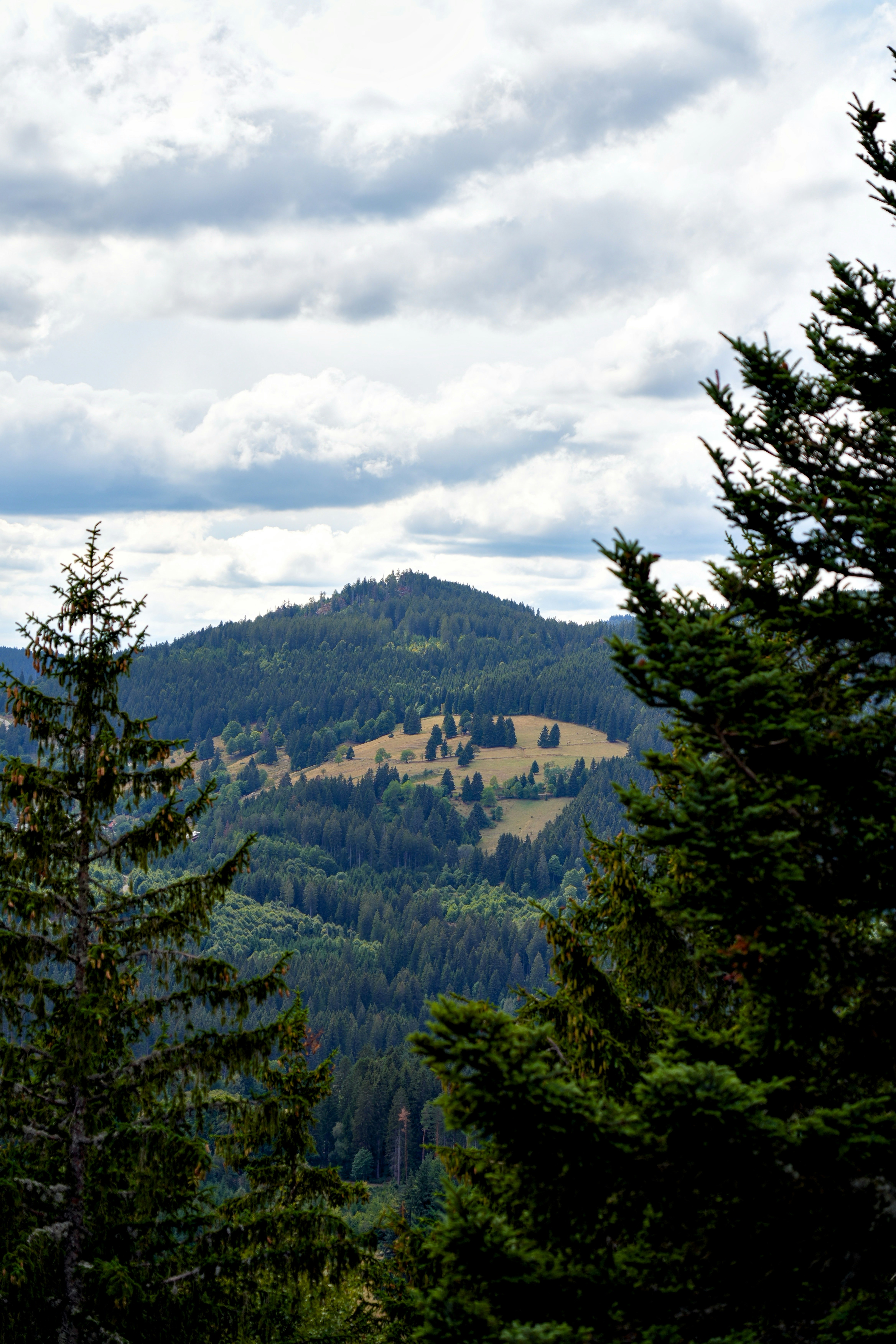 Bergpanorama