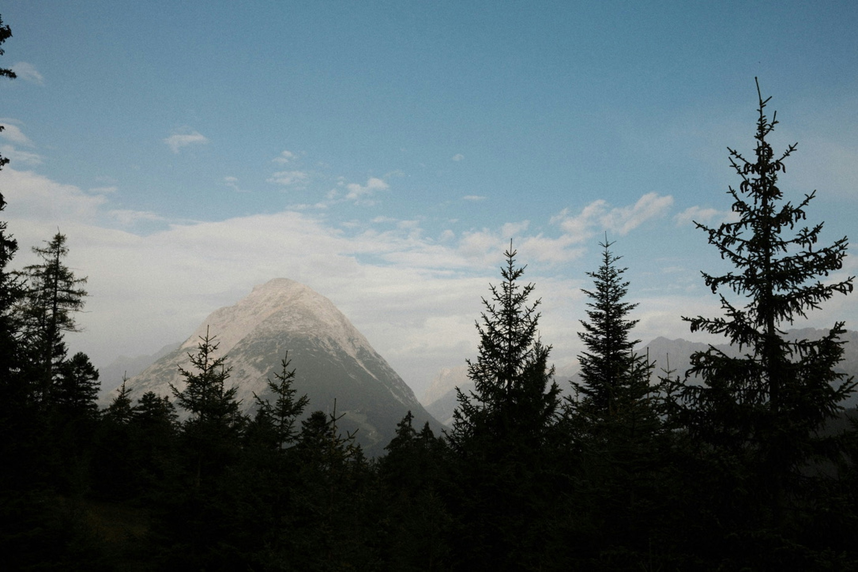 A rocky mountain peak rising behind a silhouette of evergreen trees
