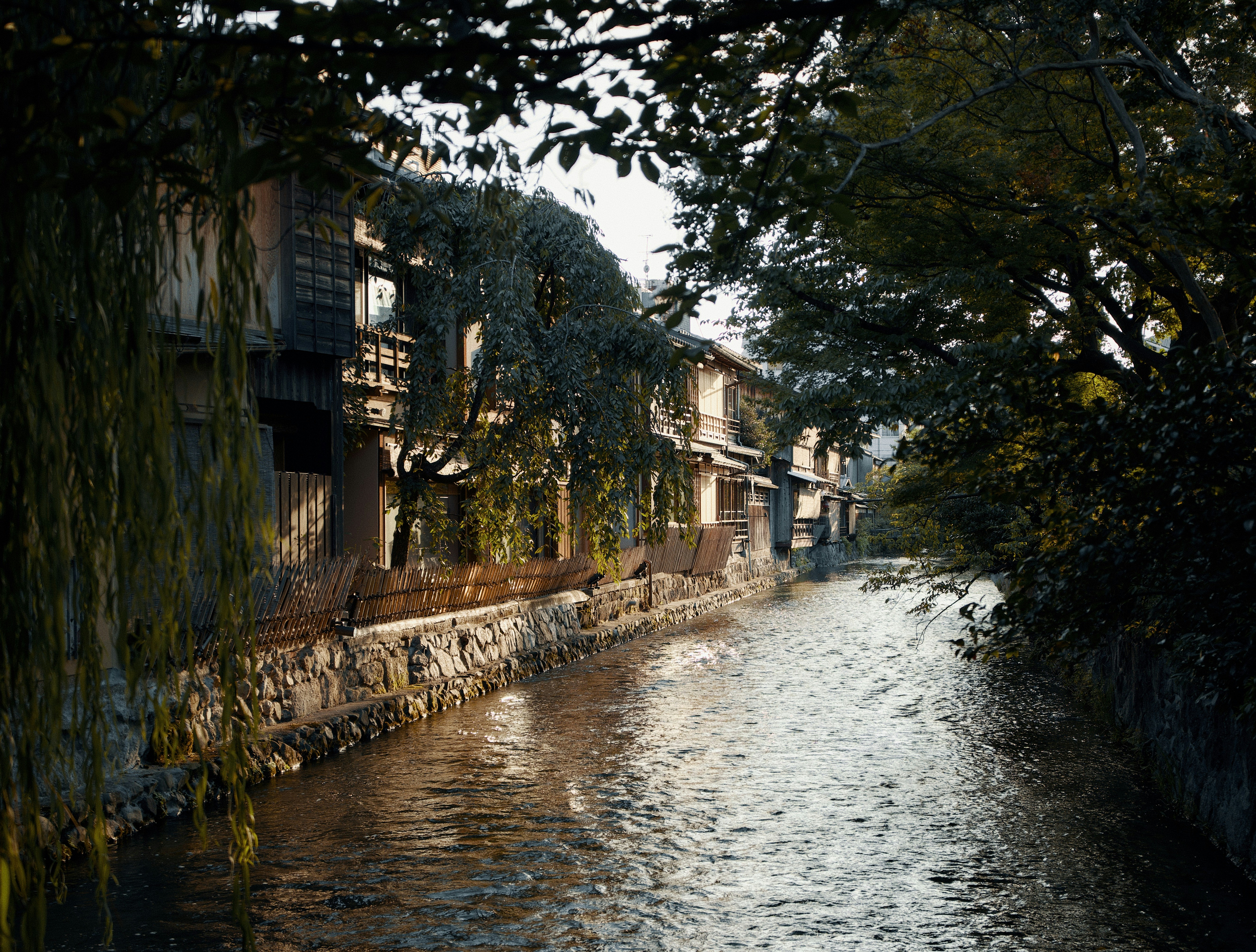 Photo of A narrow canal flowing past traditional wooden buildings and willow trees in Kyoto by Anton Shakirov