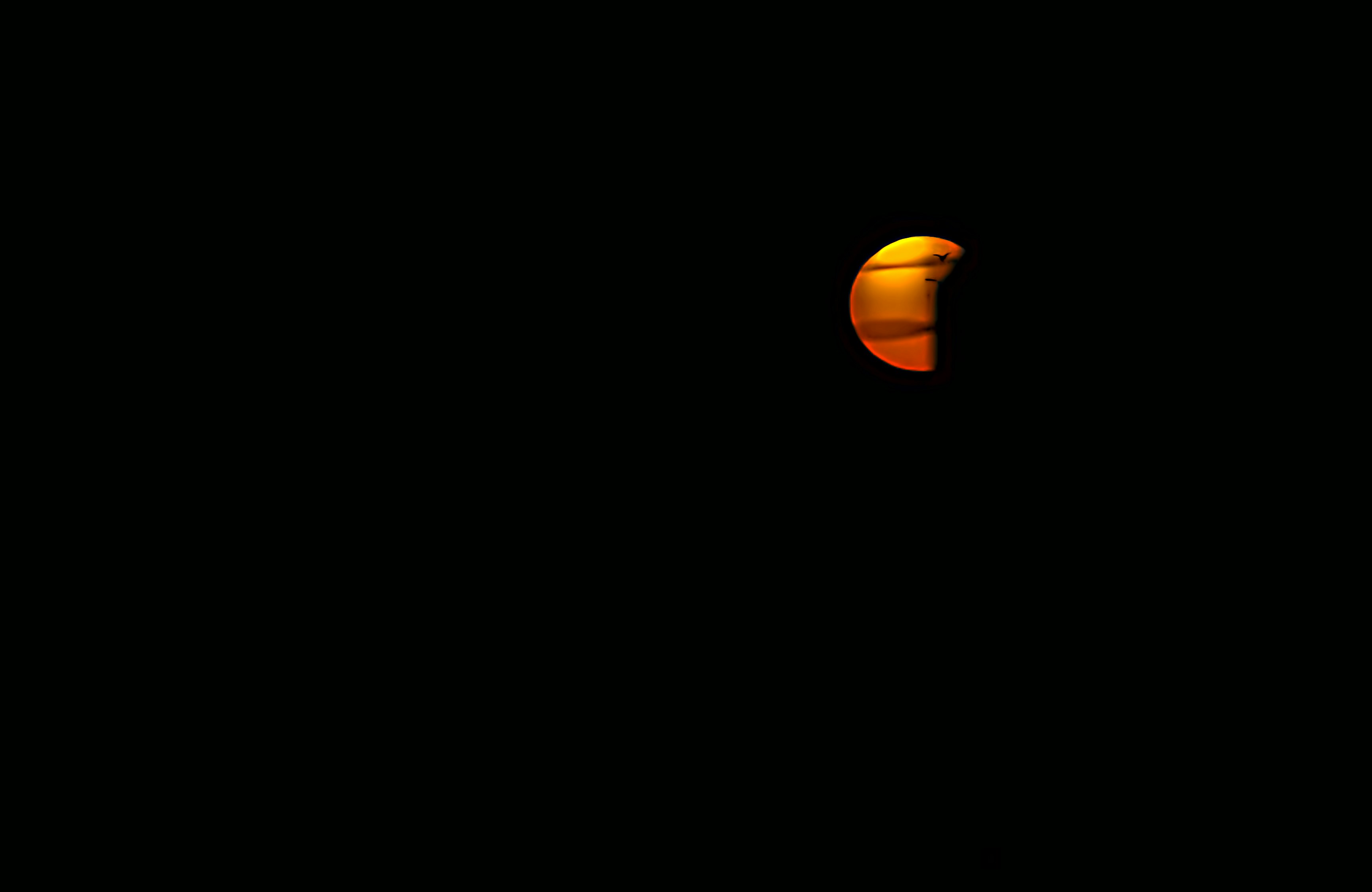 Una luna arancione parziale contro un cielo notturno scuro con la sagoma di un piccolo uccello