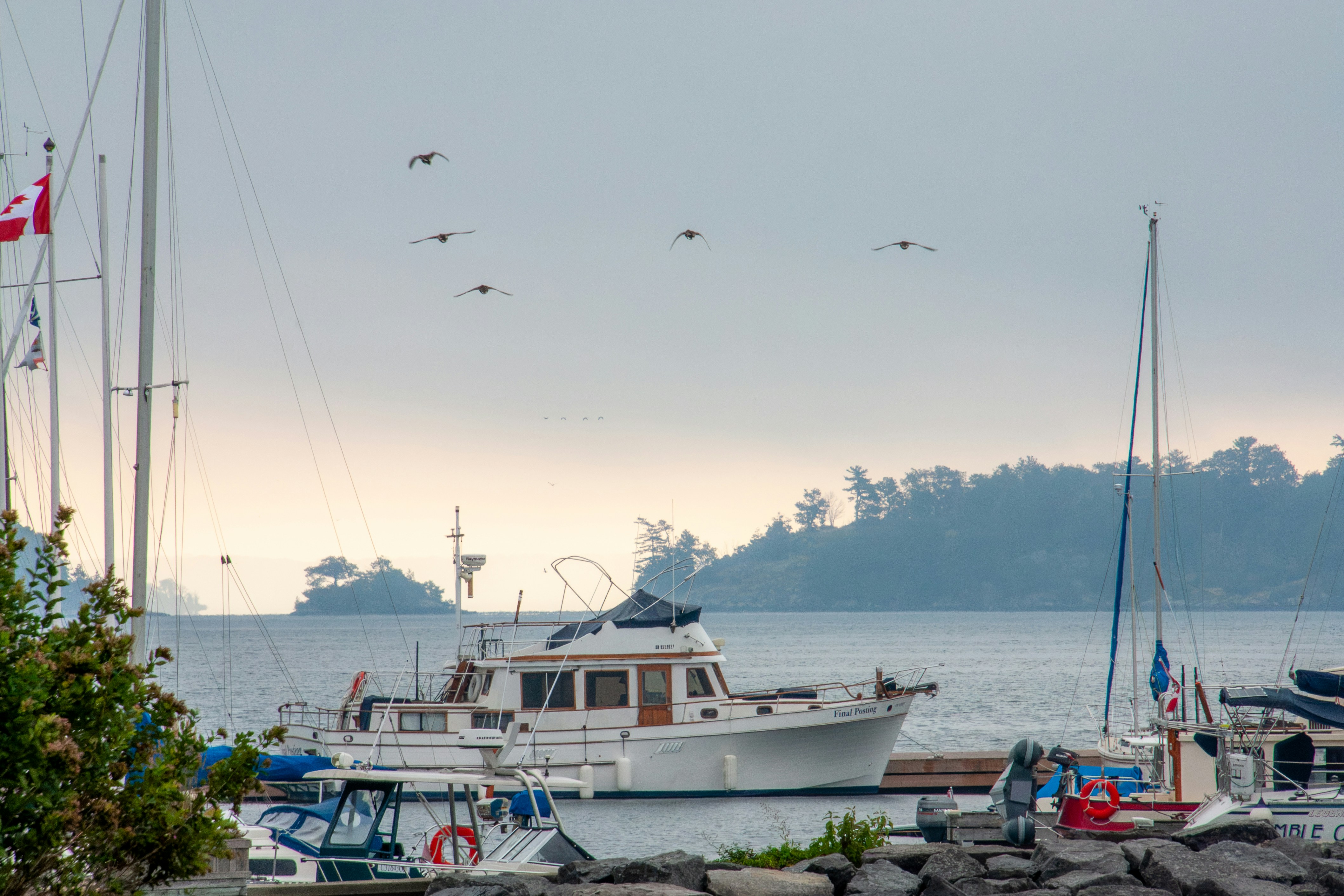 Un yacht à moteur blanc amarré à un quai avec des oiseaux volant au-dessus