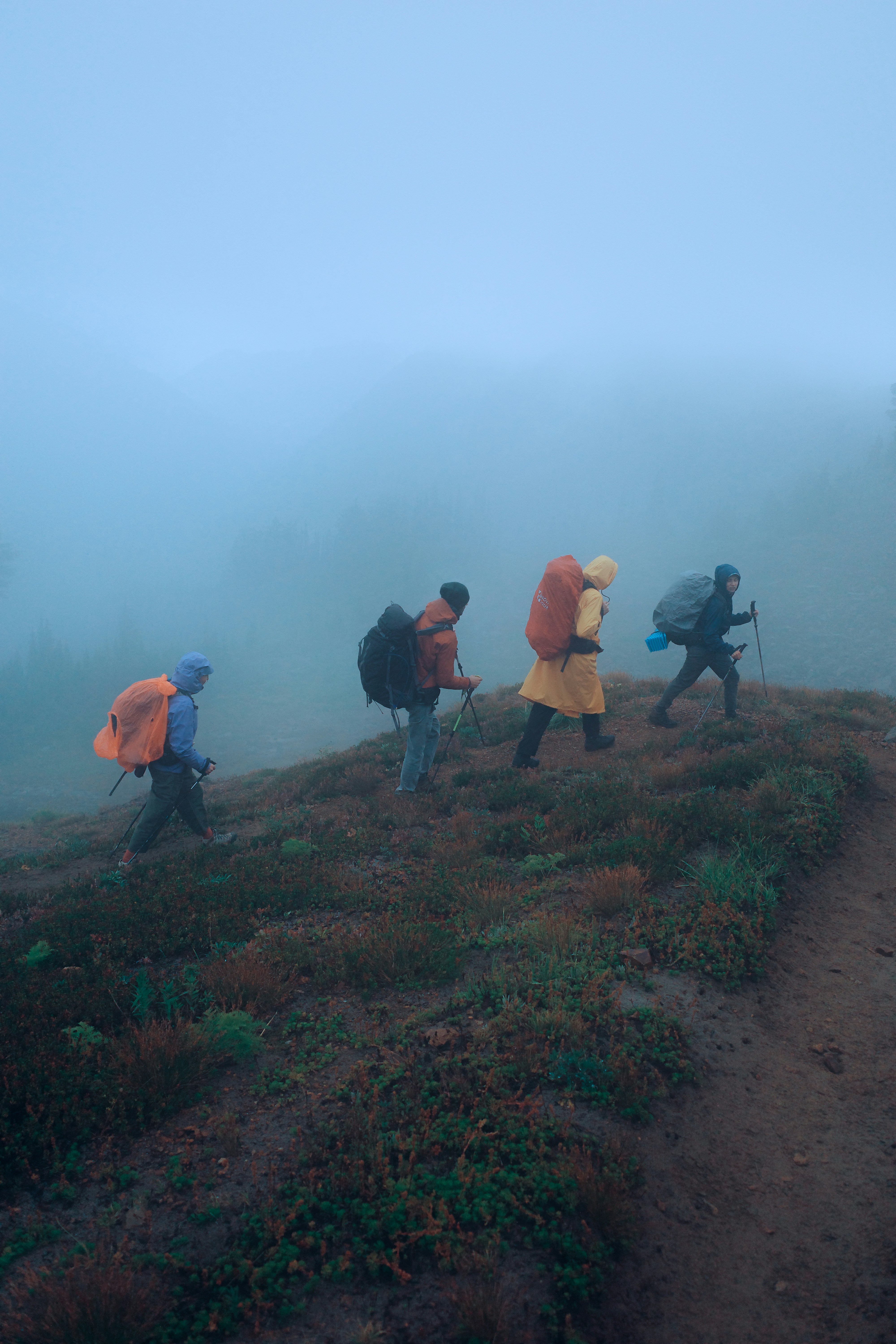 Four hikers with backpacks and pack covers walking in single file along a misty green ridge trail in rain gear