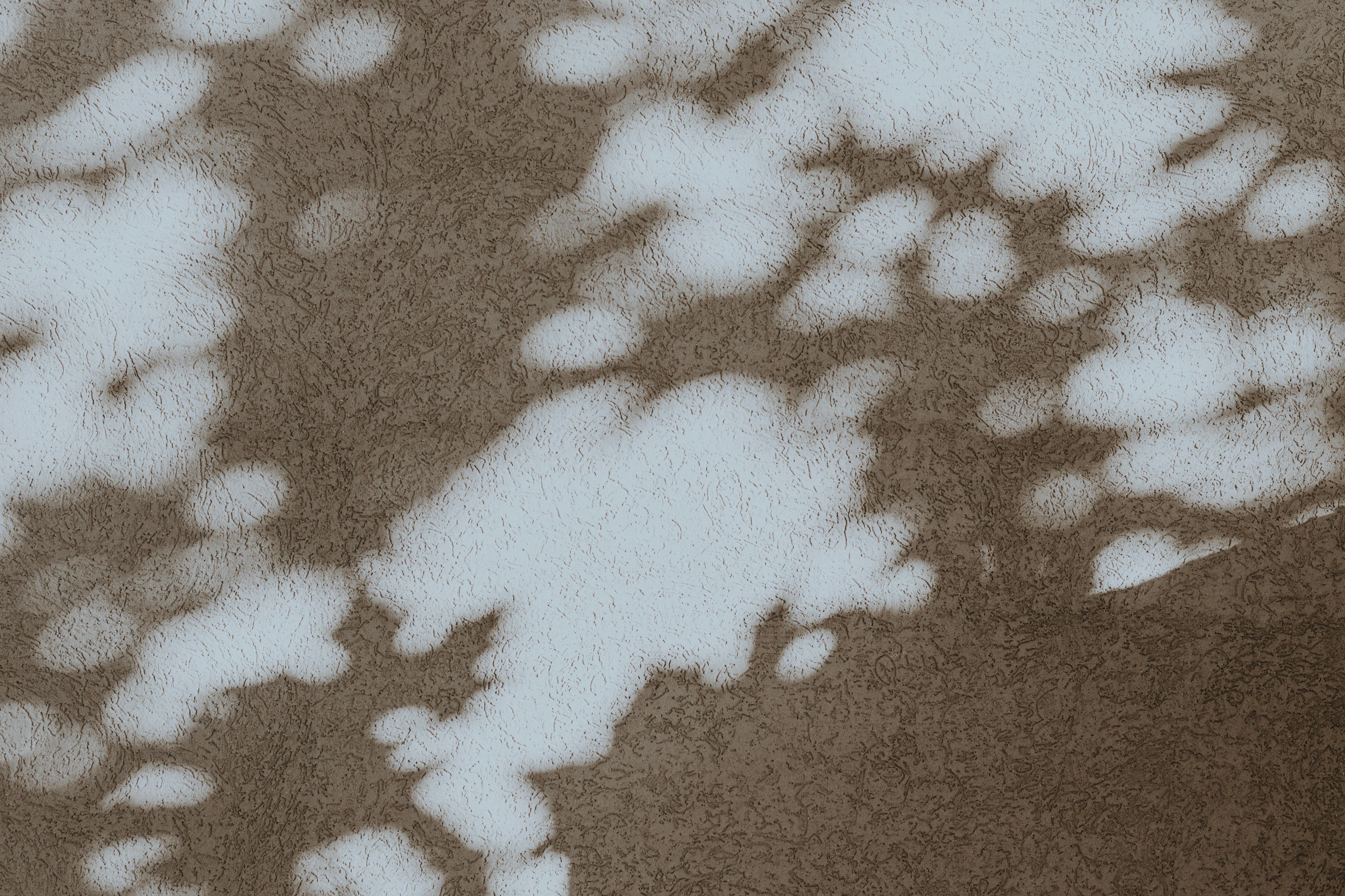 Dappled light and shadows cast on a textured brown wall