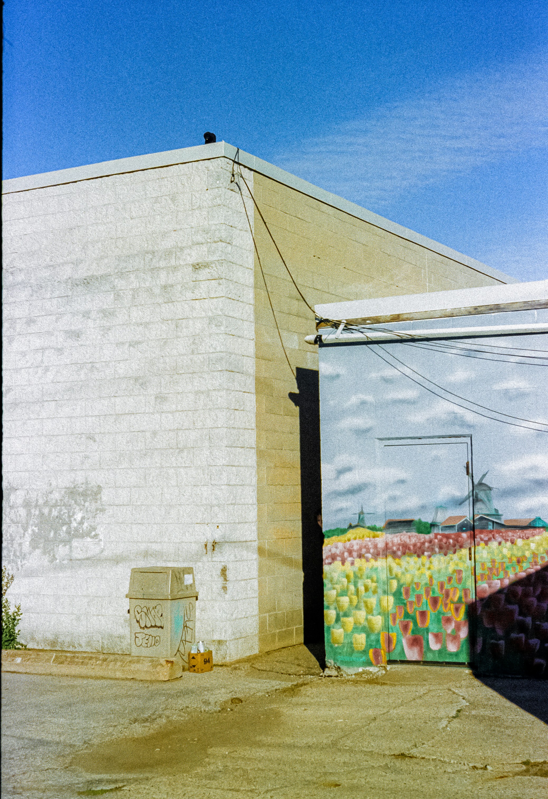 A concrete block building with a mural of tulips and windmills on a door