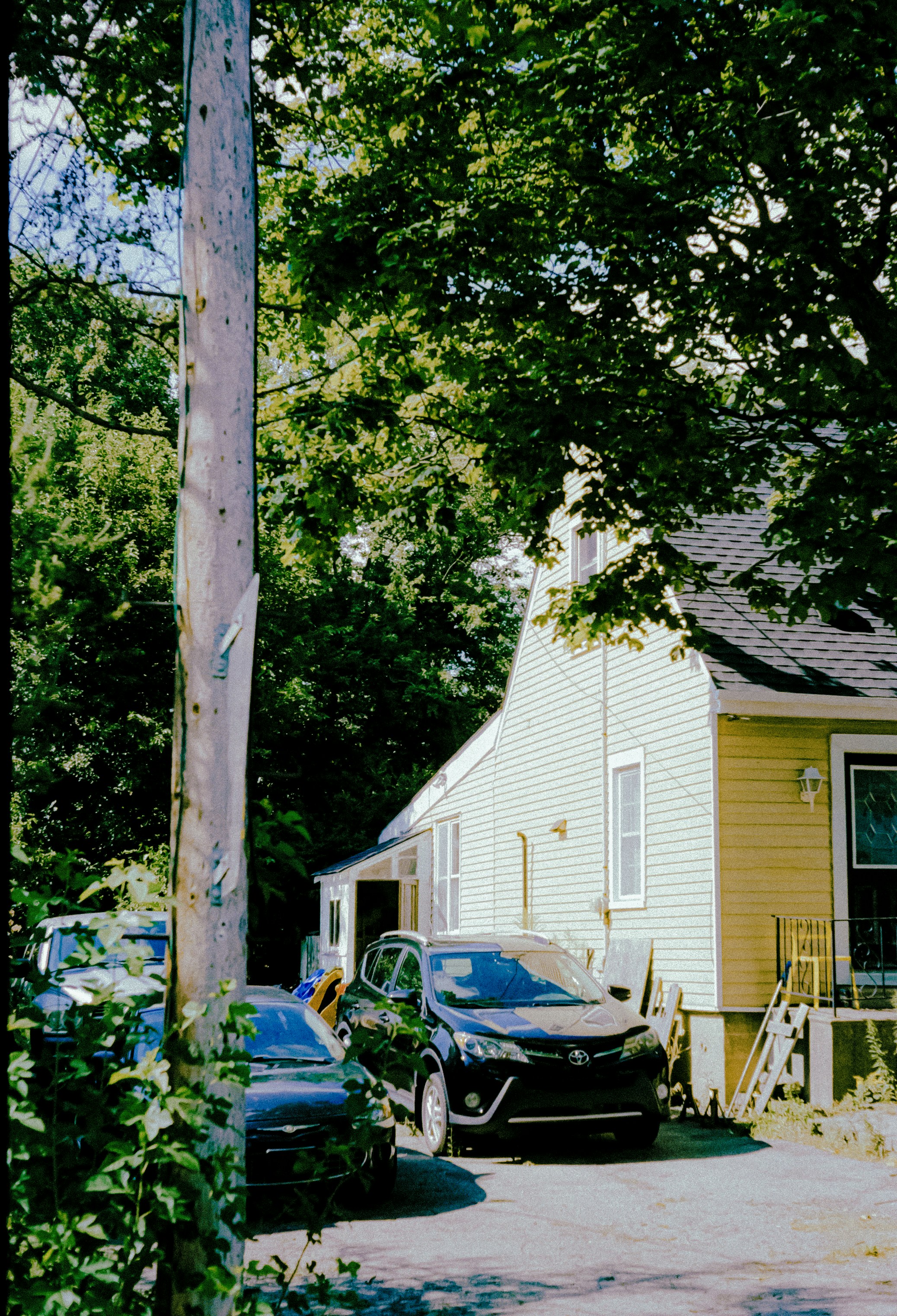 A yellow house with a driveway containing two cars under leafy green trees