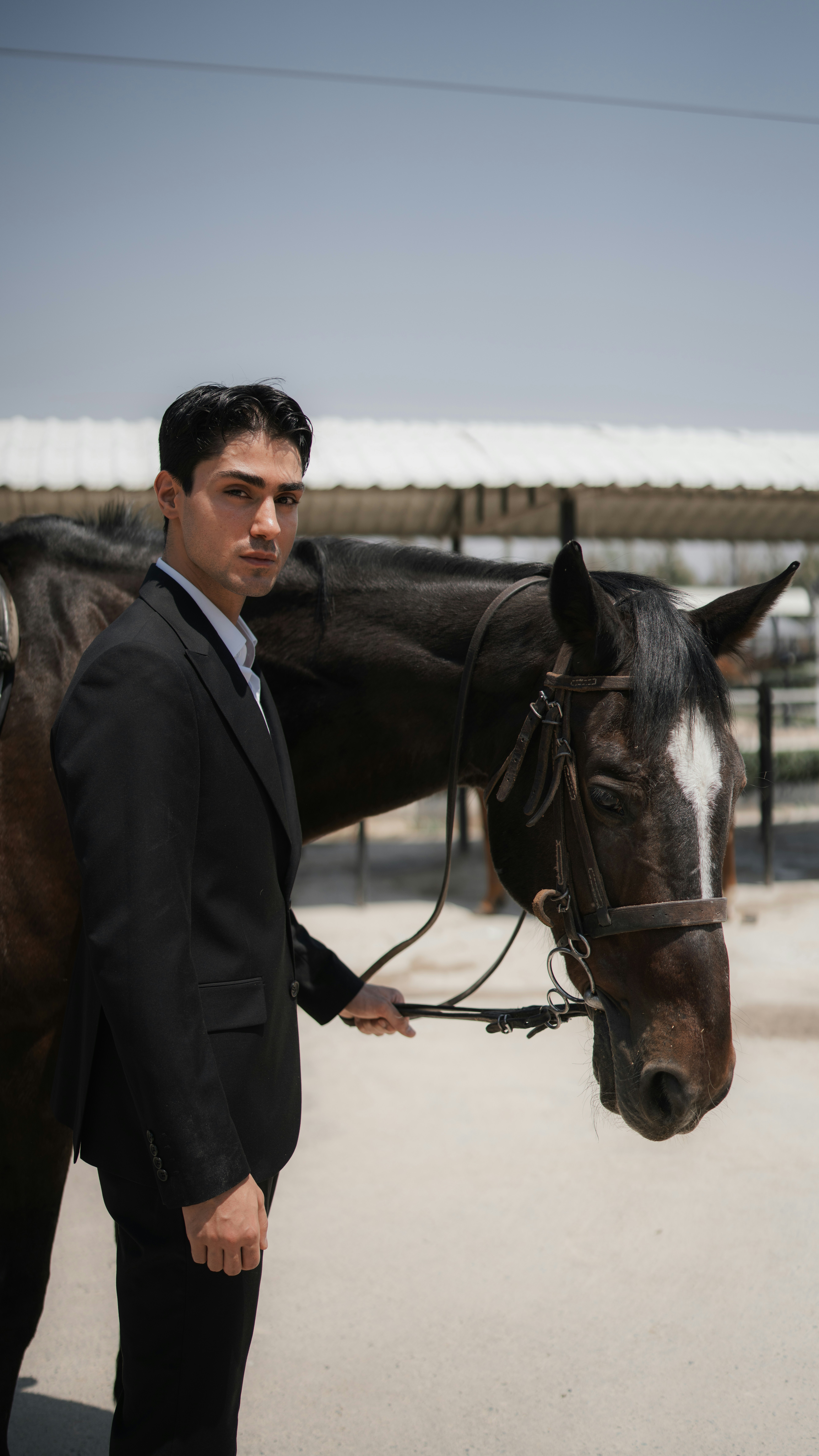 Dark suit beside a horse in a sunlit arena