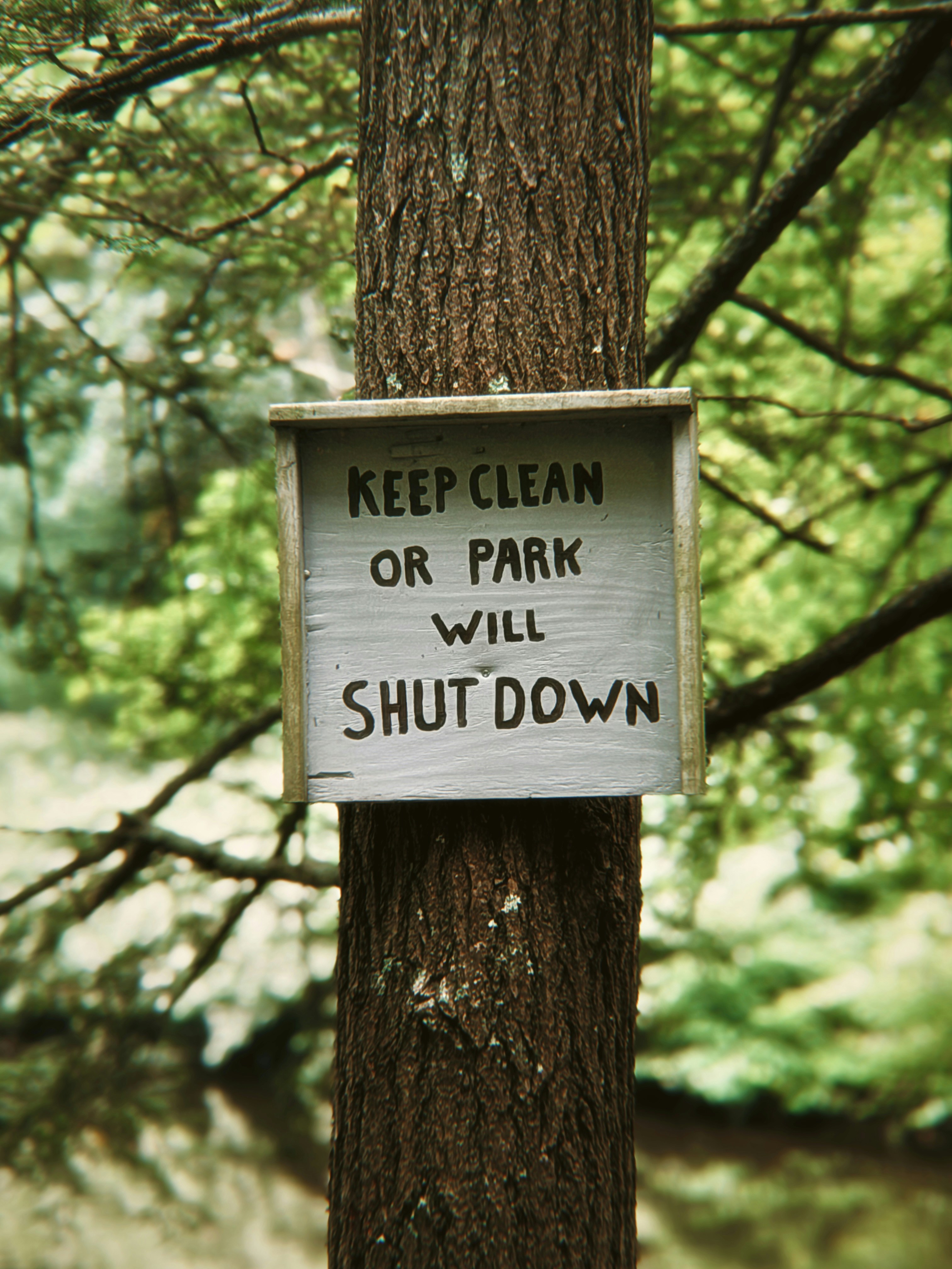 A wooden sign reading "KEEP CLEAN OR PARK WILL SHUT DOWN" attached to a tree