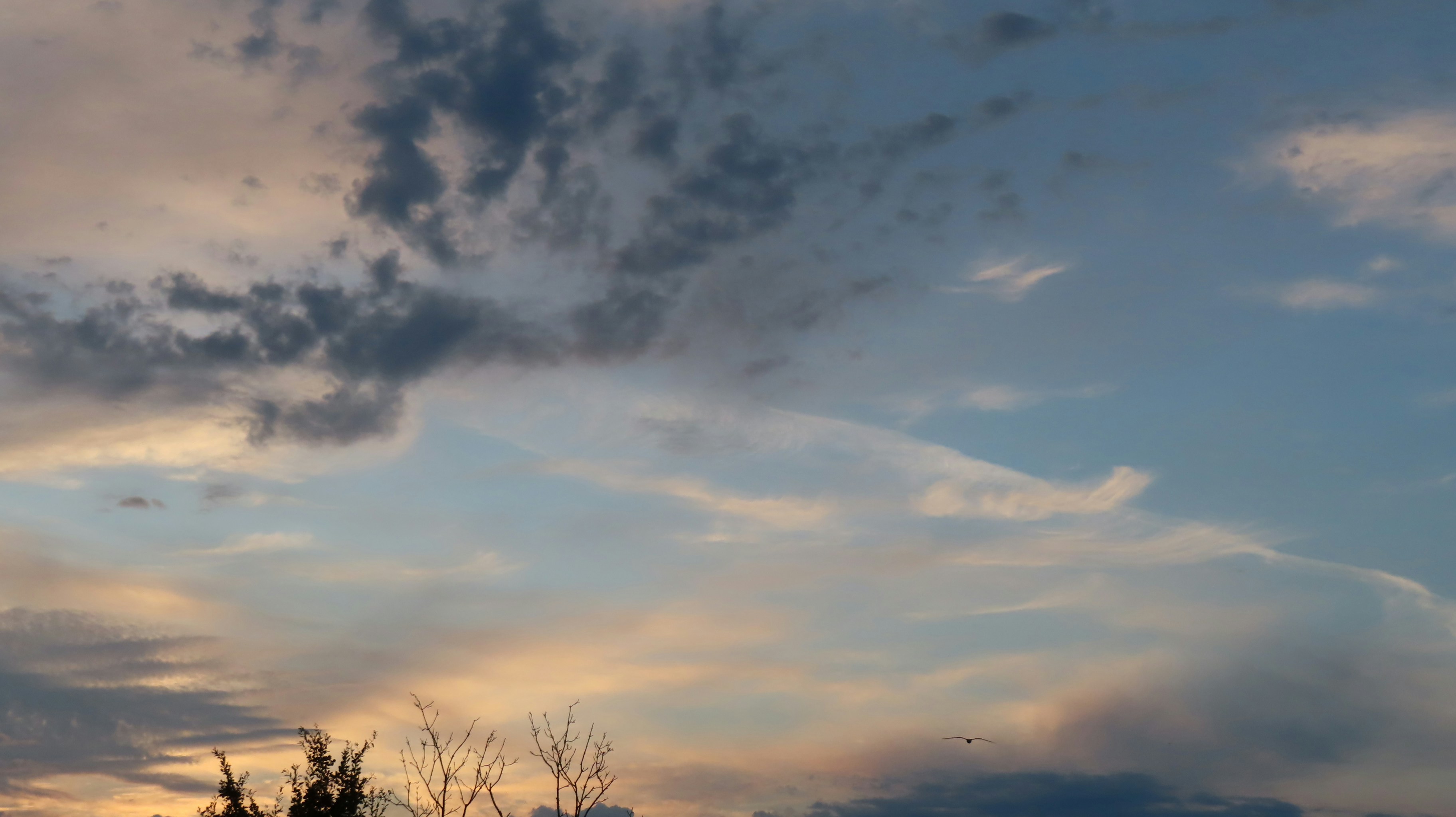 orange, gray, and white cloudy sky during golden hour