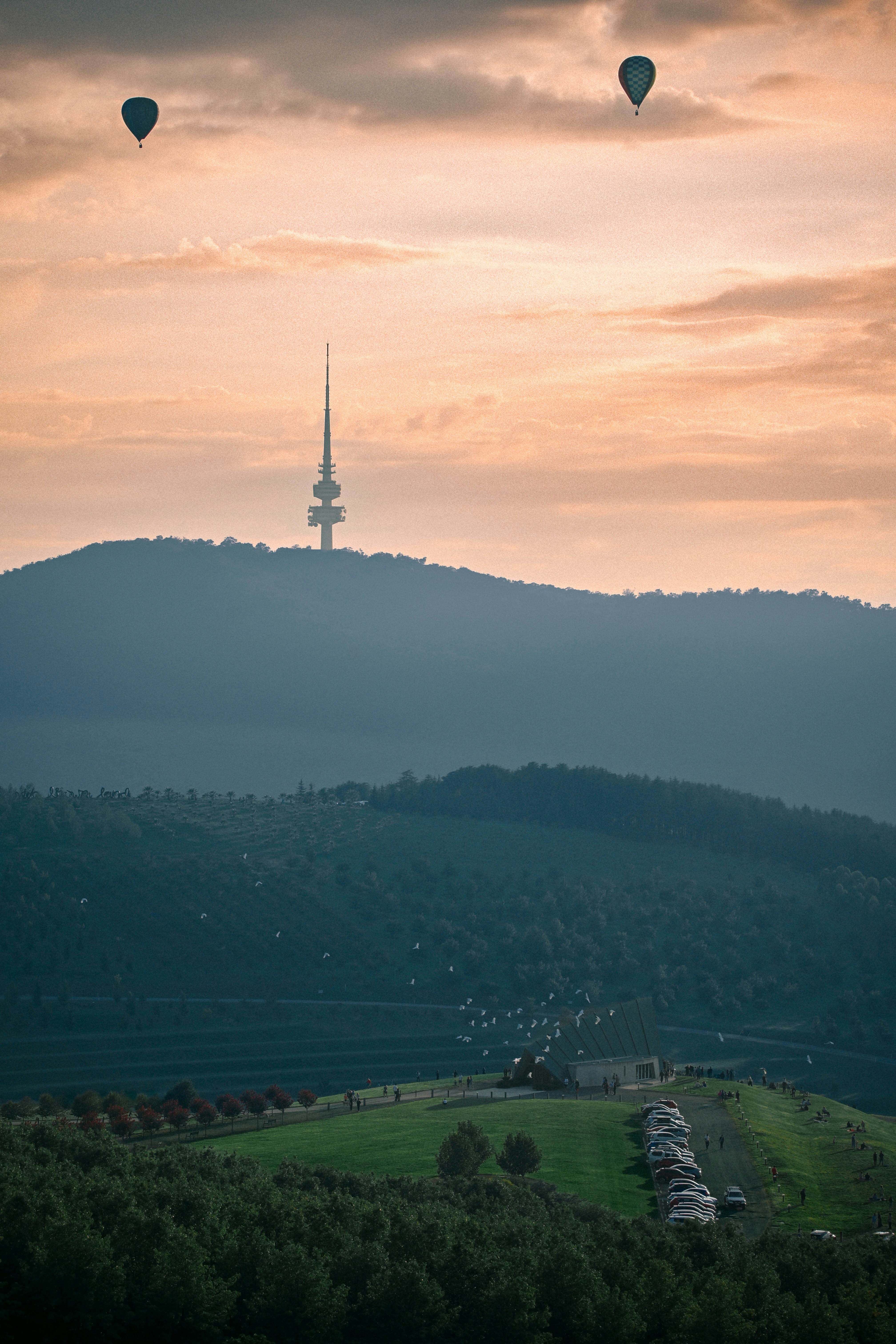 Two hot air balloons over Black Mountain Tower in Canberra at golden hour