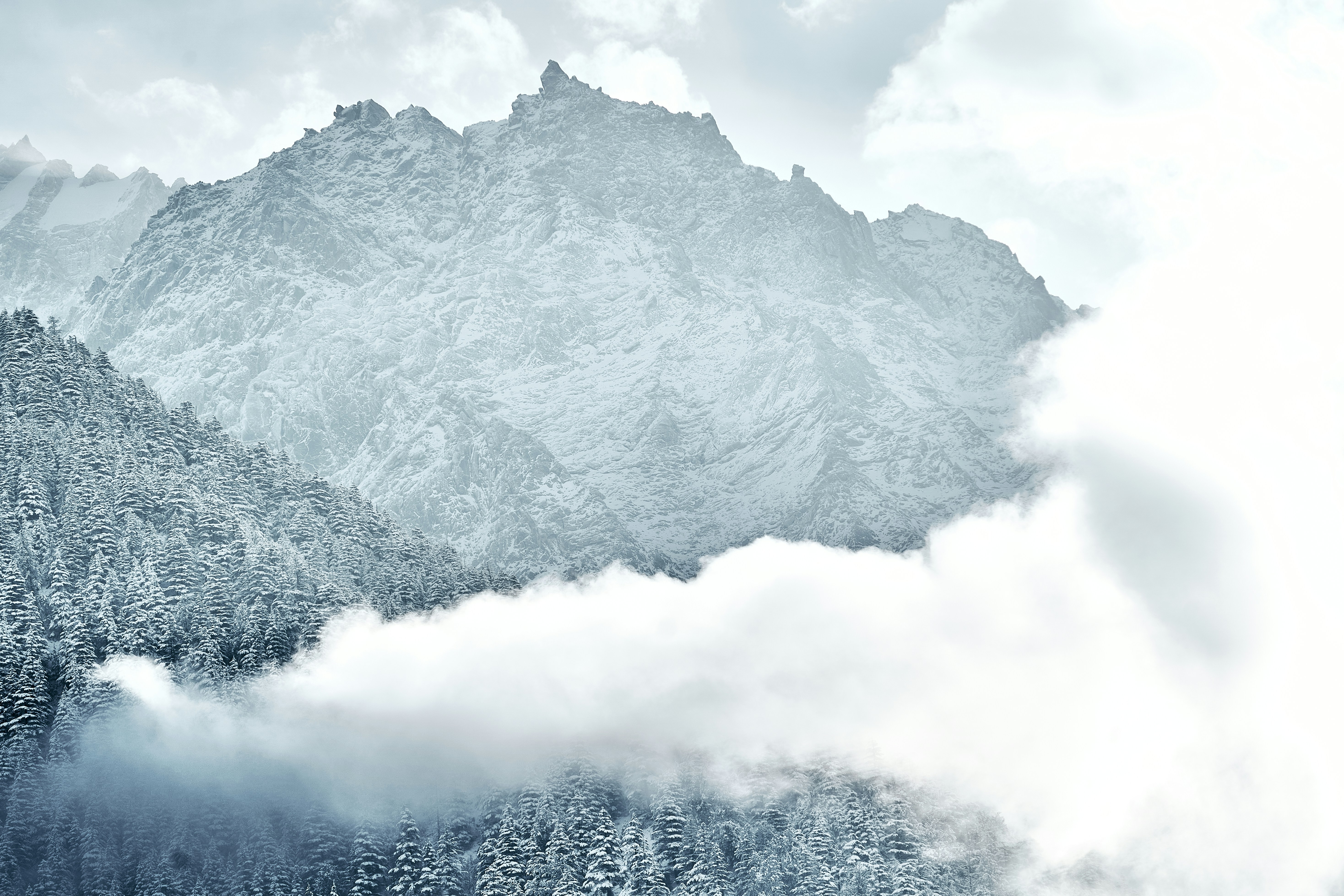 Snowy mountain peaks rising above a dense forest covered in fresh white snow