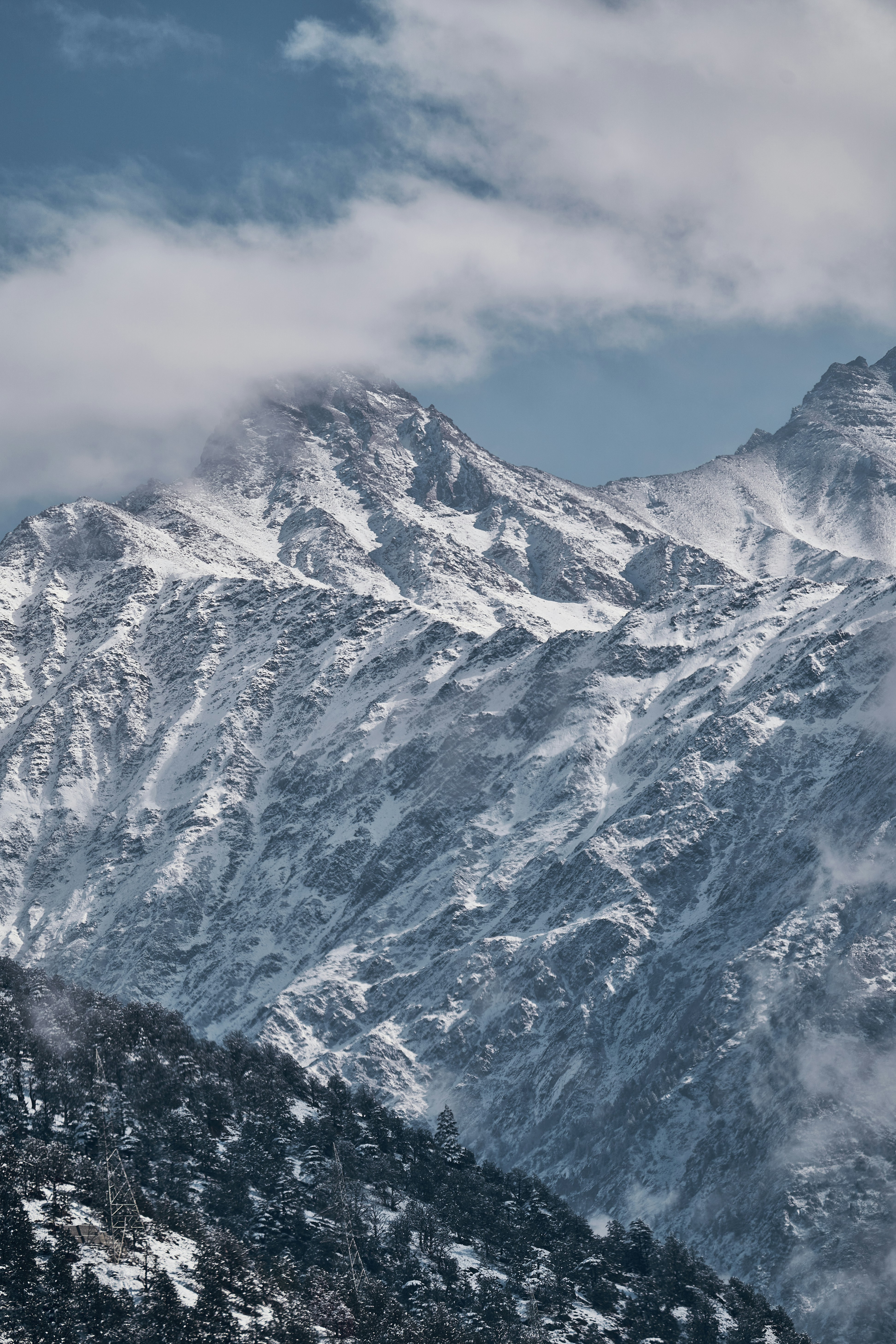 Snow-covered mountain peaks rising above a forest with low clouds