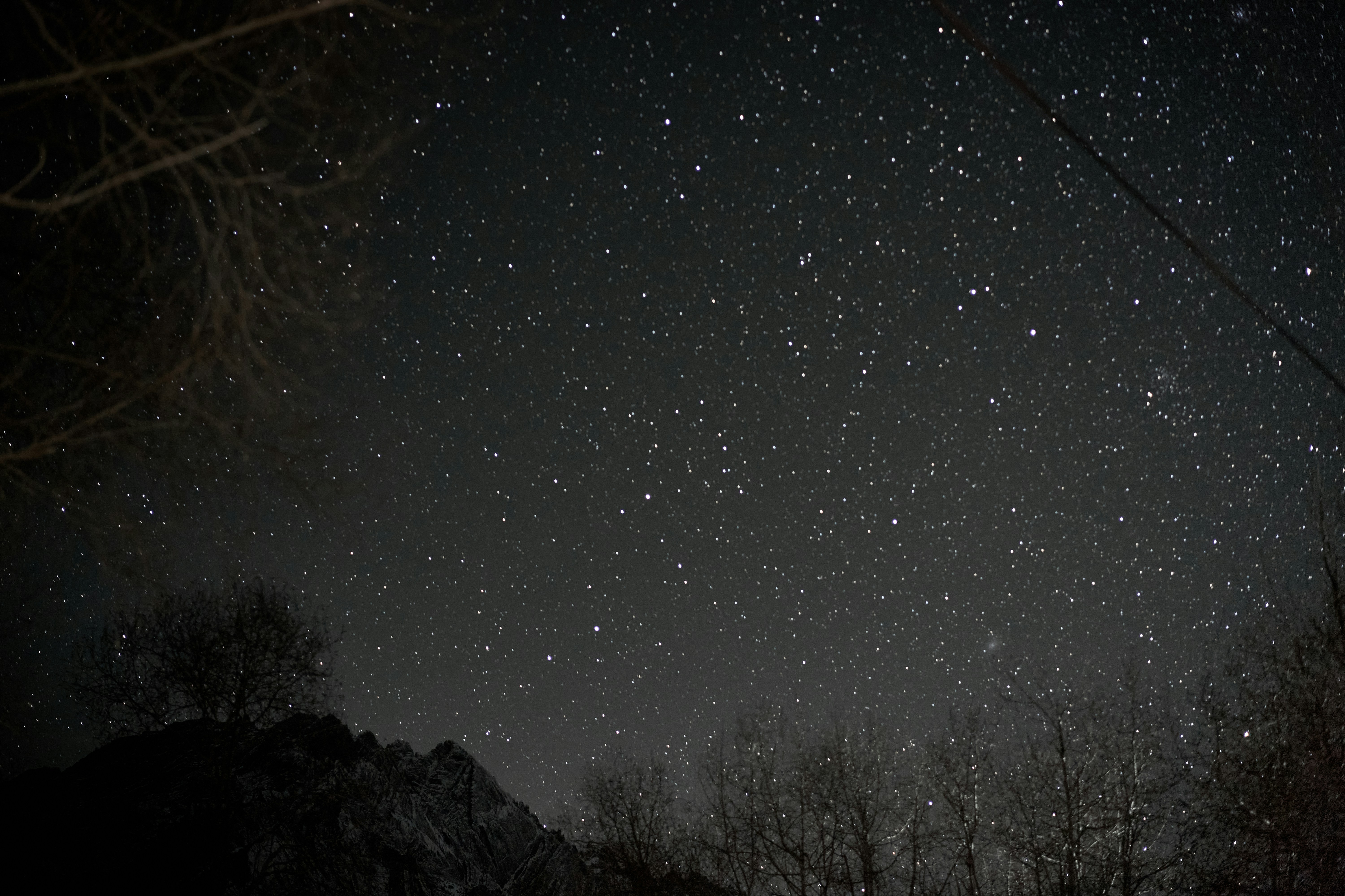 A dark night sky filled with bright stars above silhouetted mountain peaks and trees