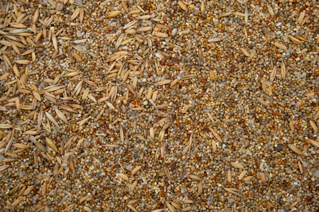 Poultry Feed