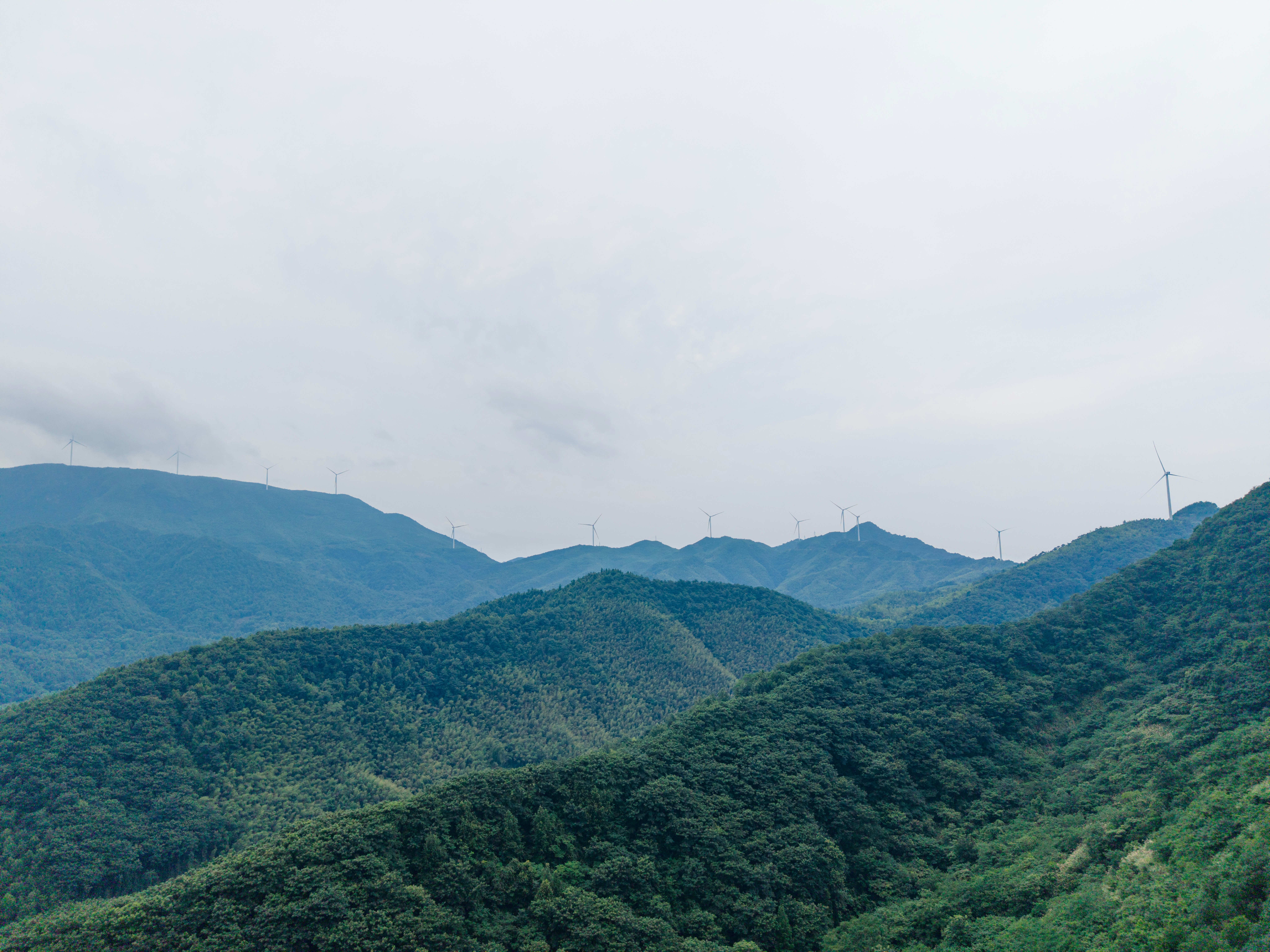 Wind turbines on a distant mountain ridge above dense green forest