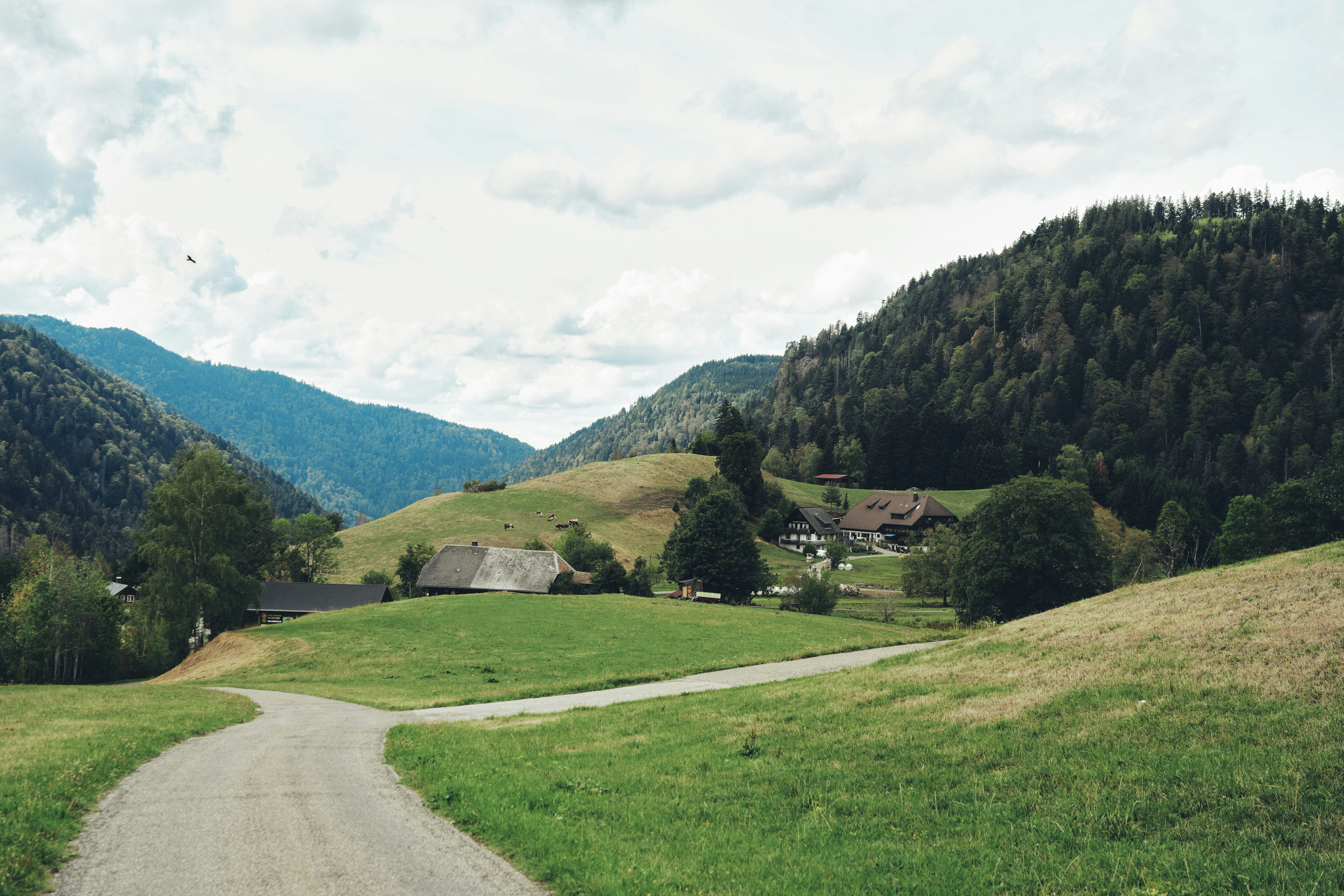 Idyllisches Dorf zwischen grünen Hügeln