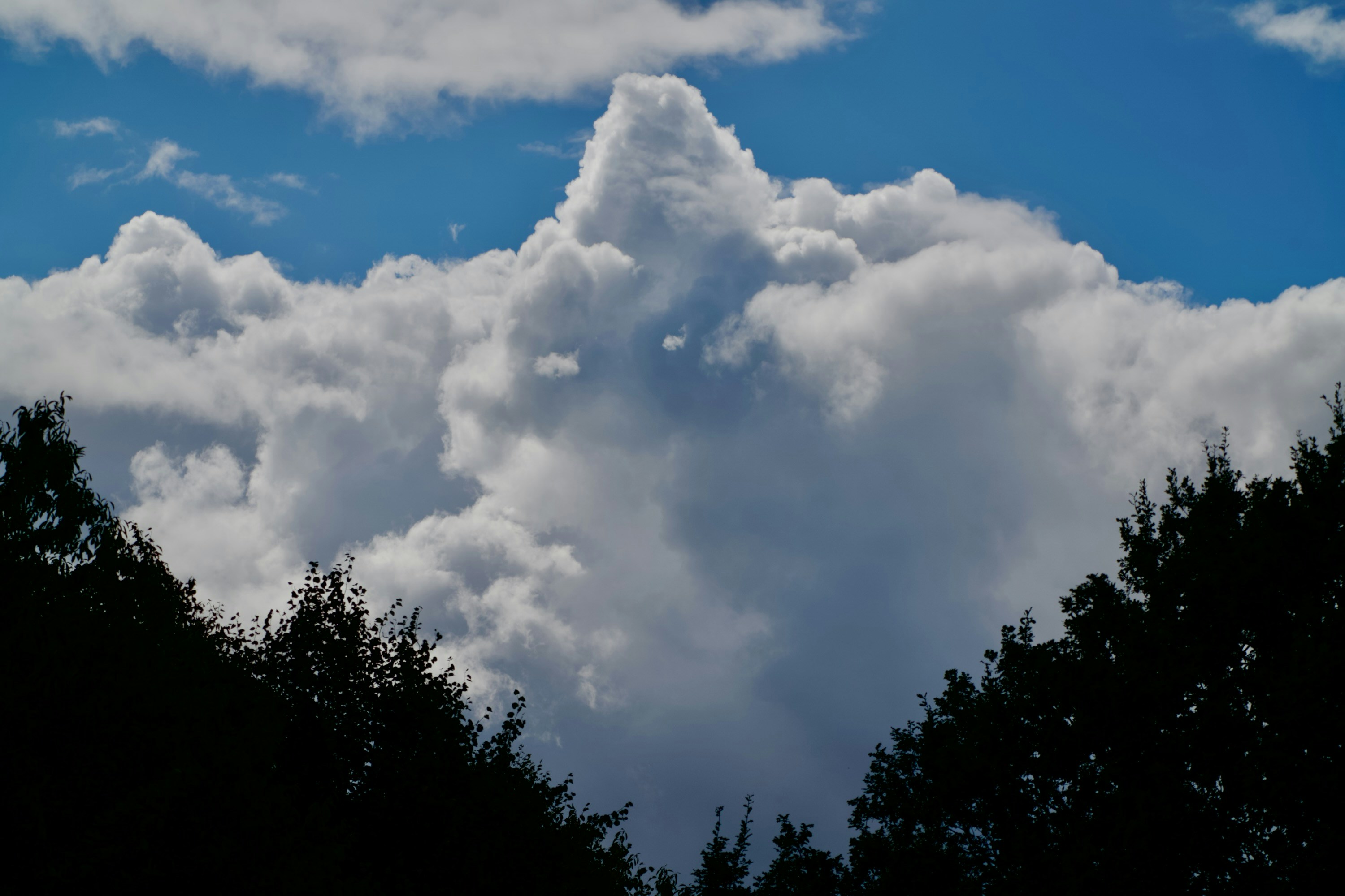 A large white cumulus cloud against a blue sky above dark tree silhouettes