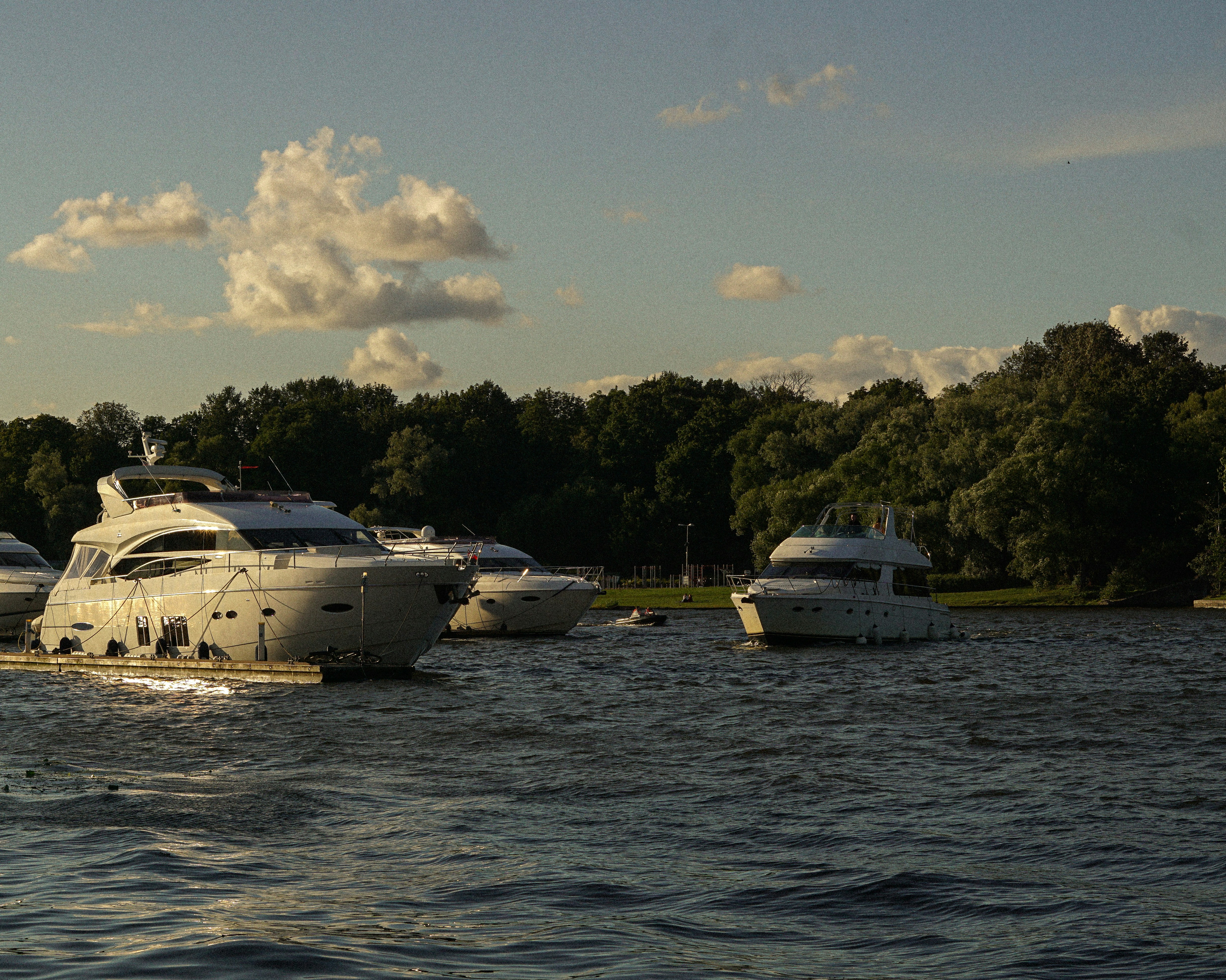 Three white motor yachts on a river near a tree-lined shore at golden hour
