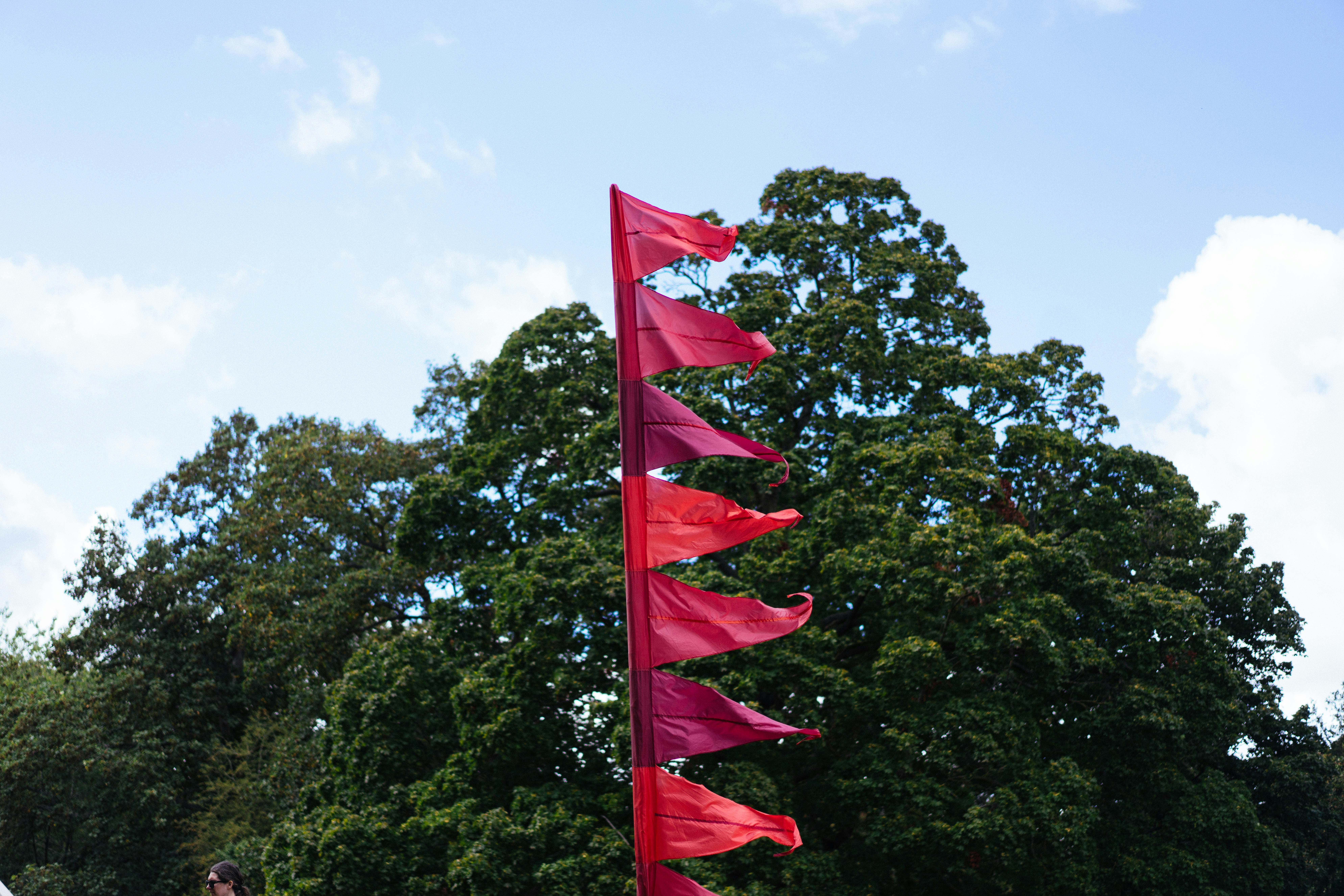 A vertical row of red and maroon triangular flags against a large green tree
