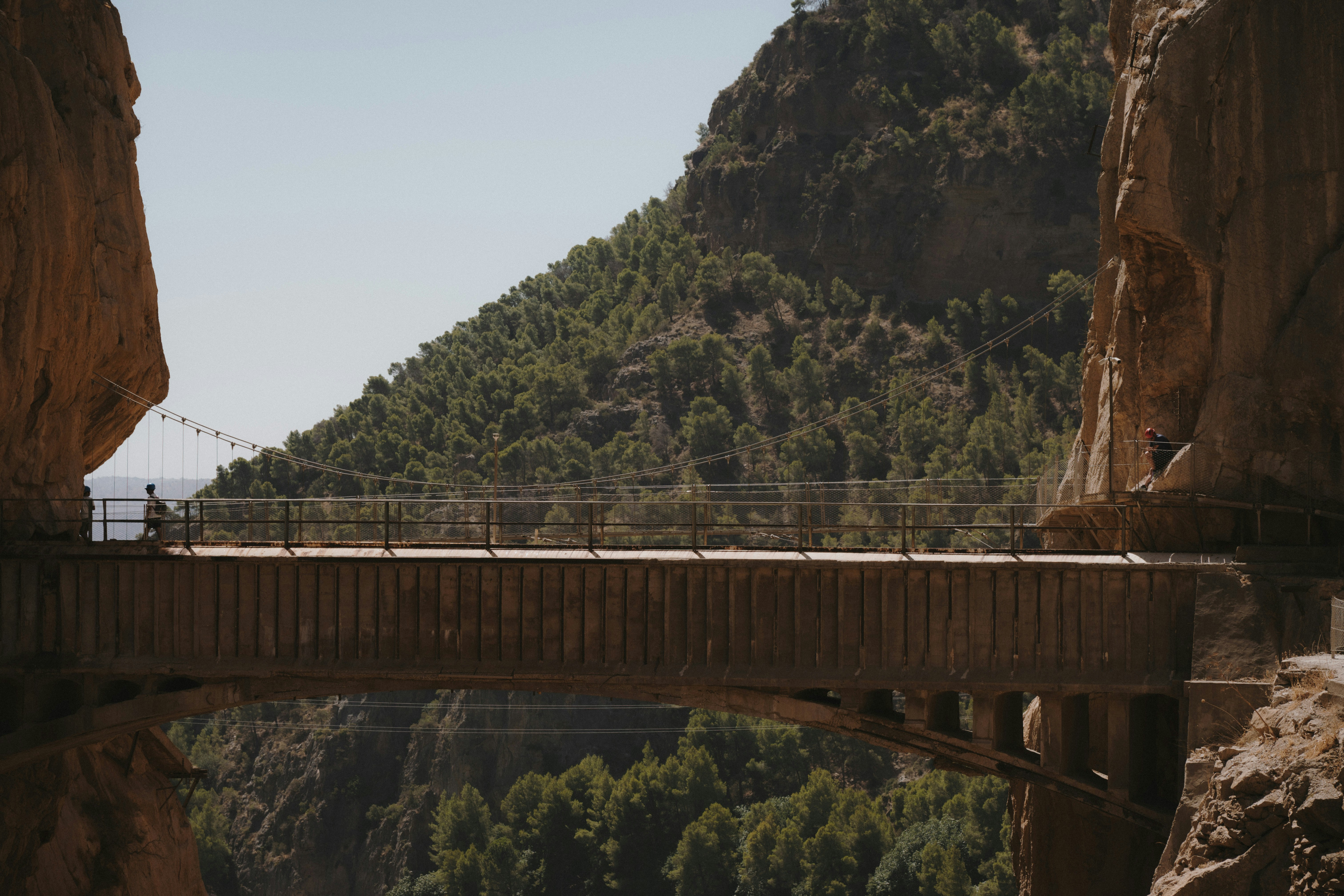A concrete bridge spanning a deep canyon with pine trees on the slopes