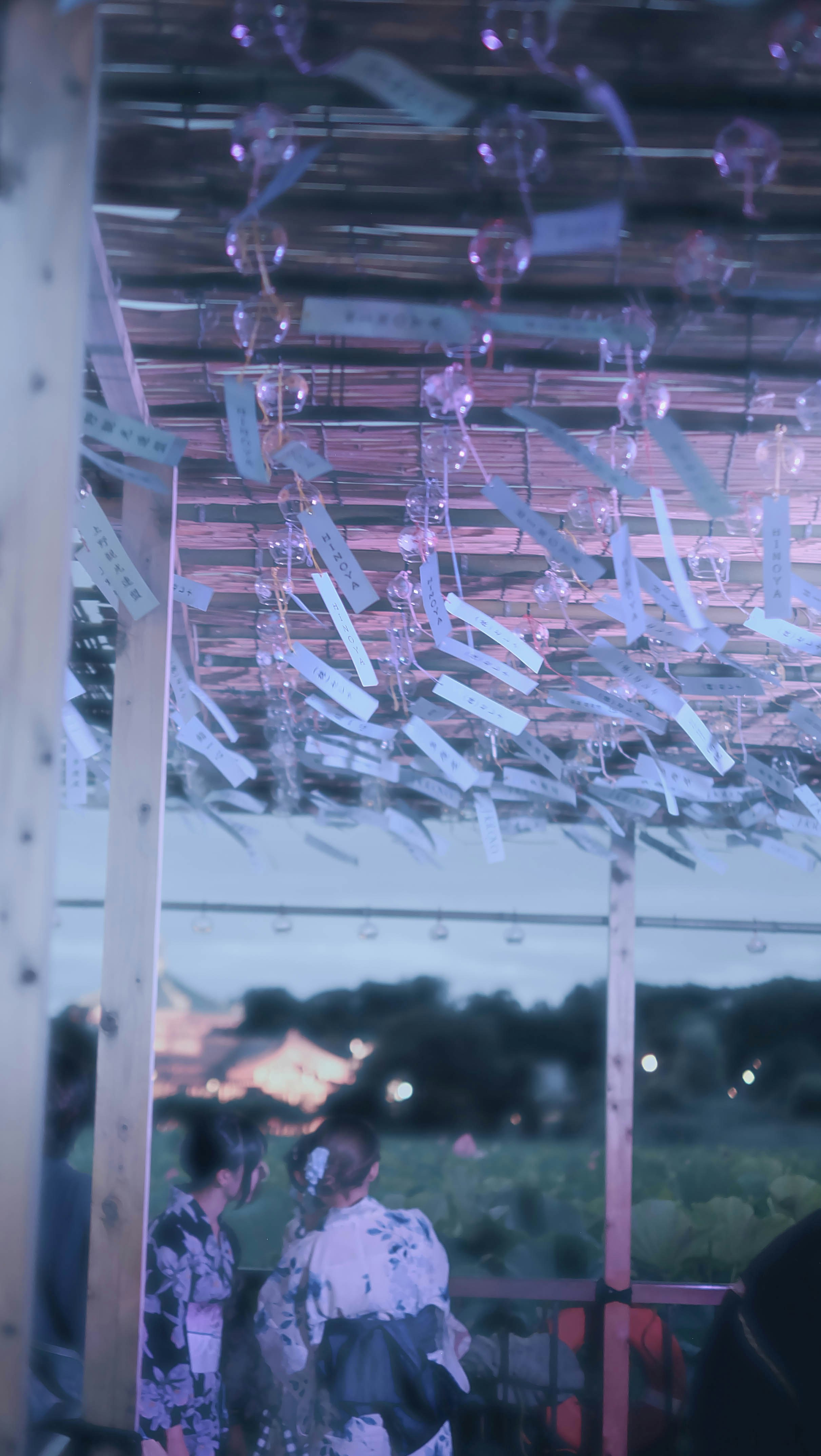 Two people in yukata under a canopy of hanging glass wind chimes at night