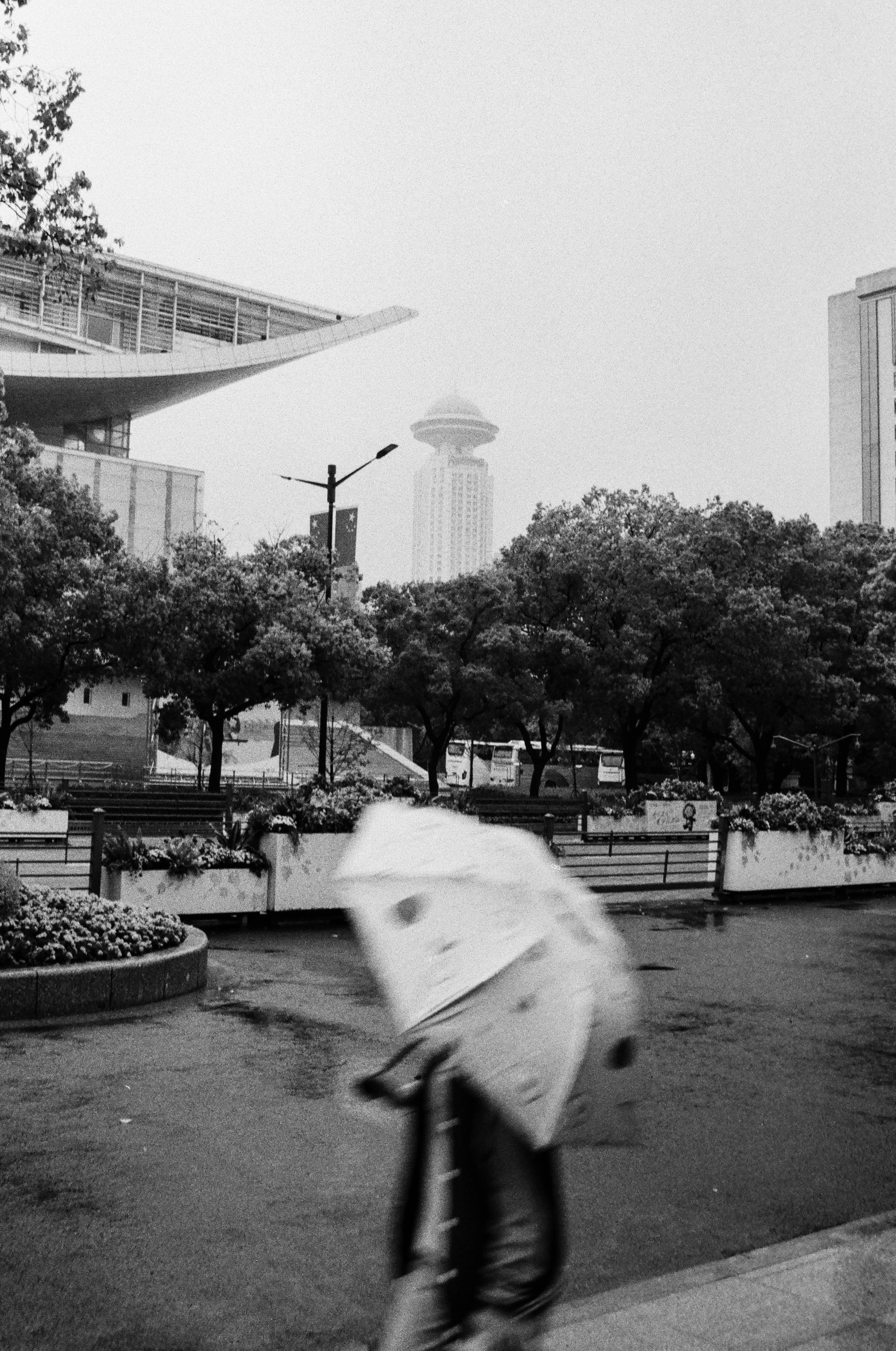 A person walking with a patterned umbrella in a park on a rainy day