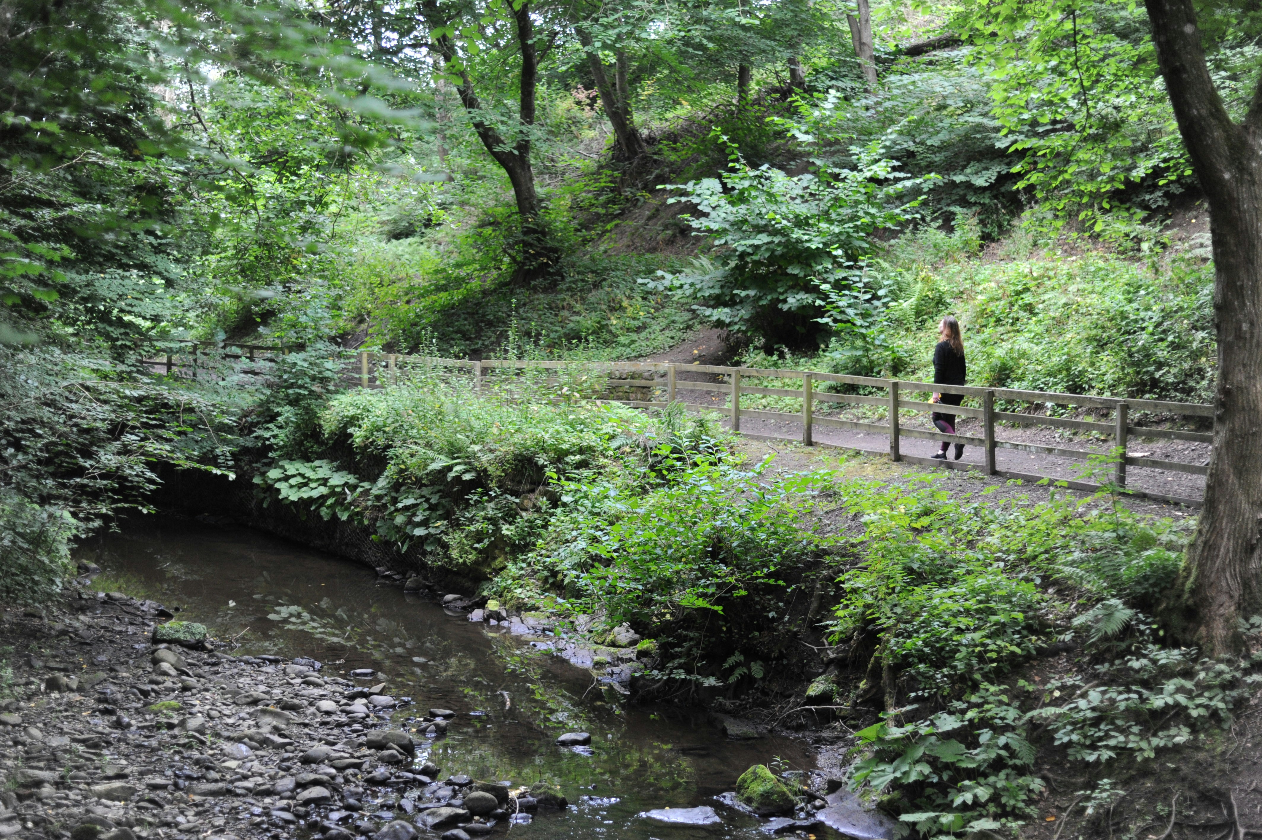 Walker on a fenced path beside a green creek