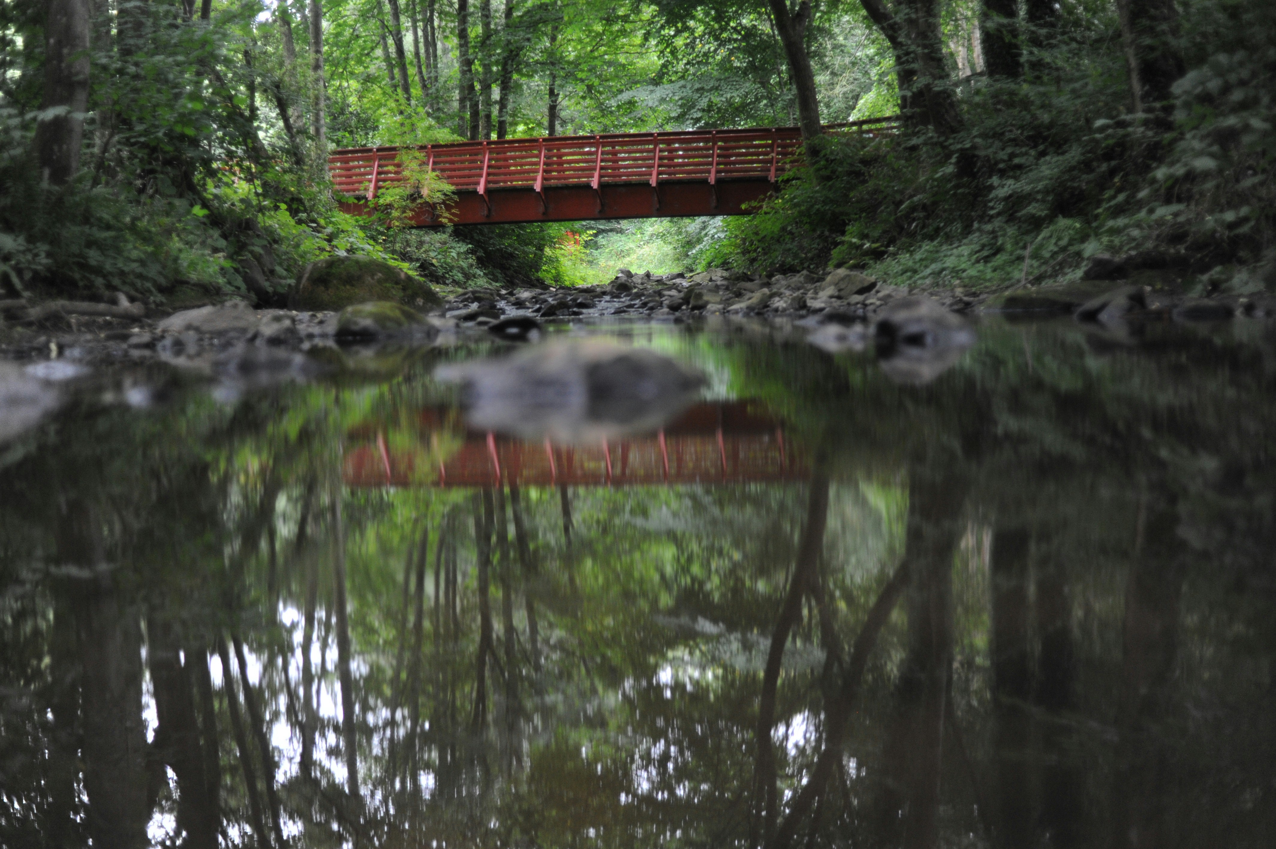 Red wooden footbridge over a still, shaded creek