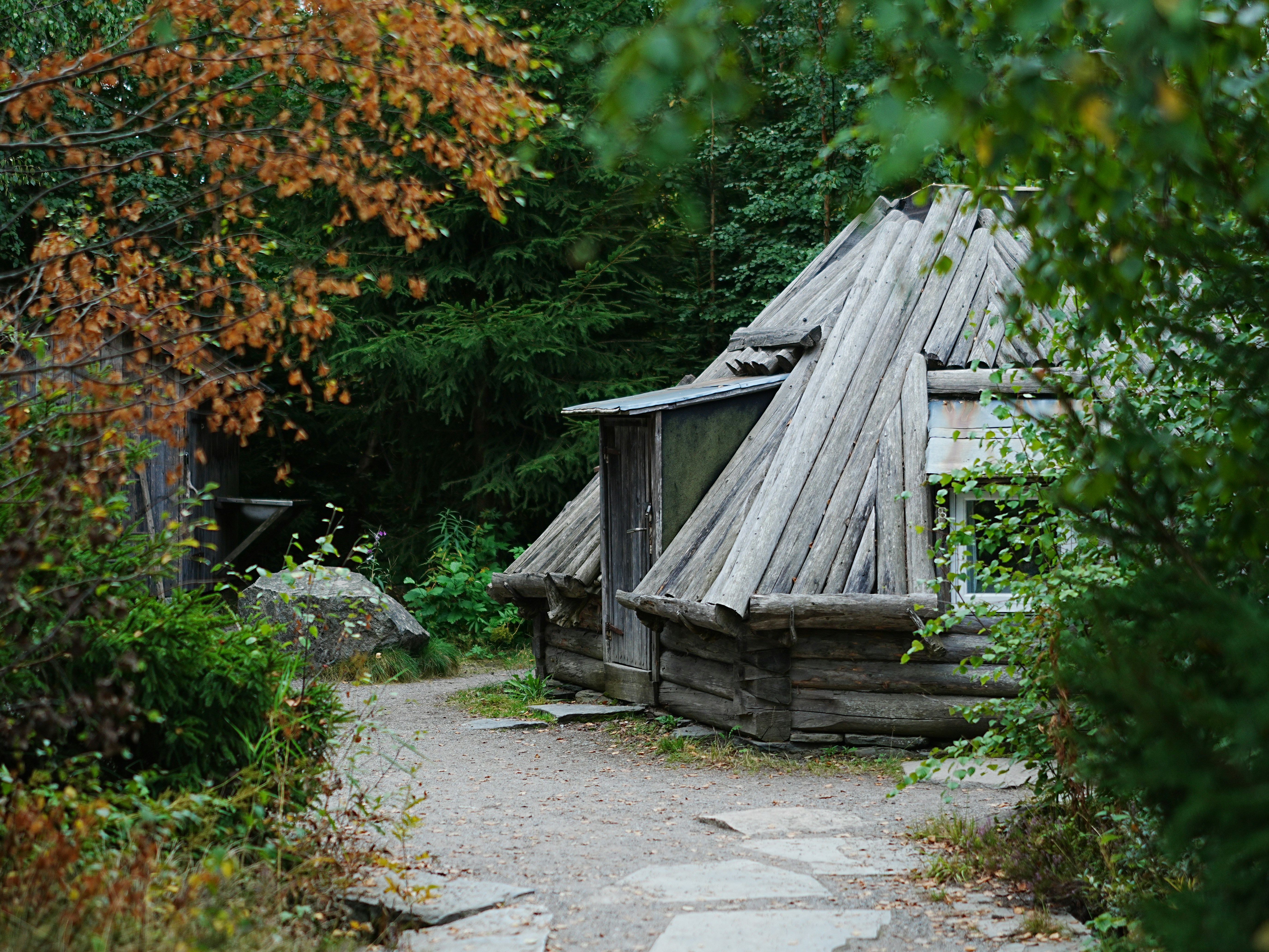A rustic wooden cabin with a conical roof in a dense forest